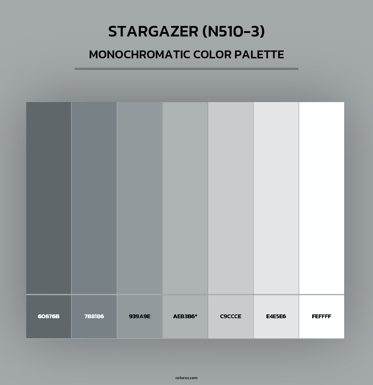 Stargazer (N510-3) - Monochromatic Color Palette