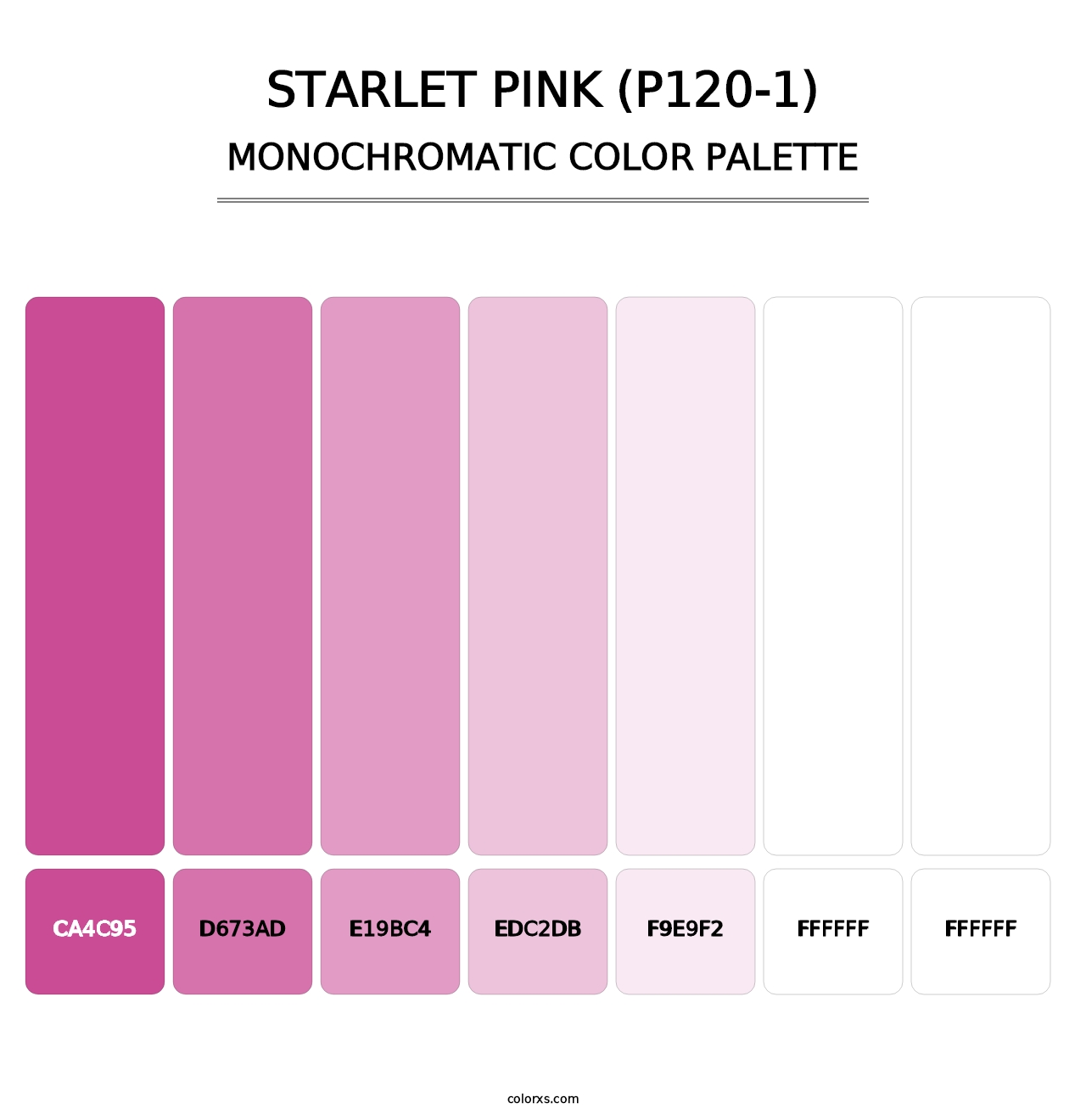 Starlet Pink (P120-1) - Monochromatic Color Palette