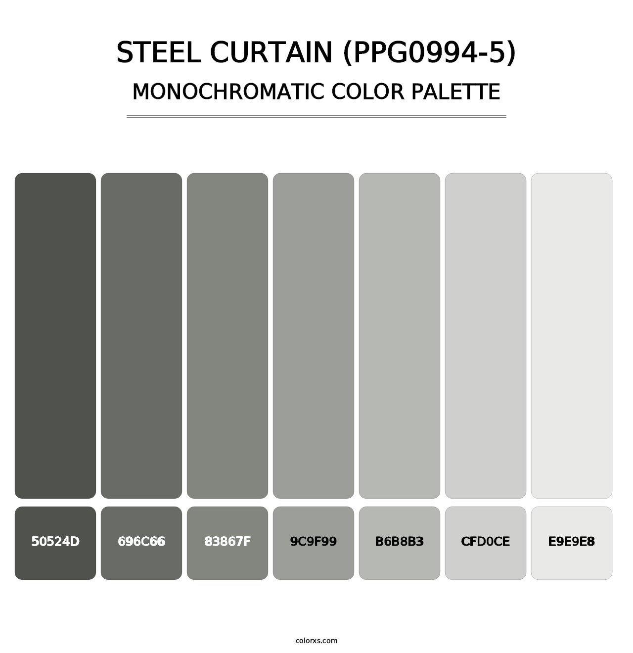 Steel Curtain (PPG0994-5) - Monochromatic Color Palette