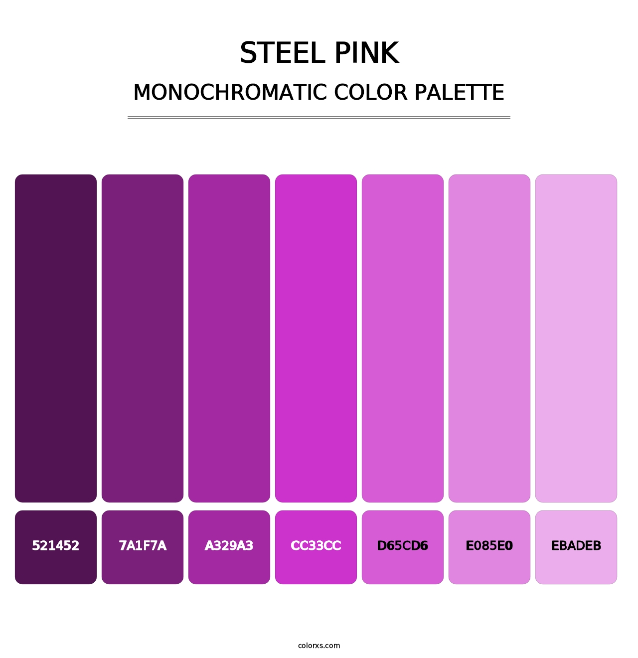Steel Pink - Monochromatic Color Palette
