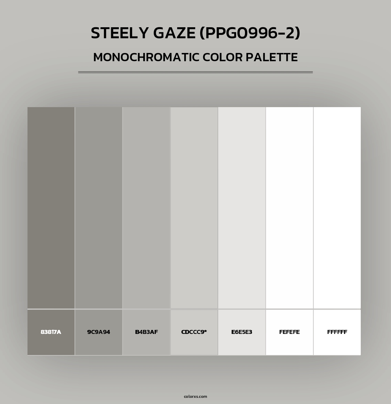 Steely Gaze (PPG0996-2) - Monochromatic Color Palette