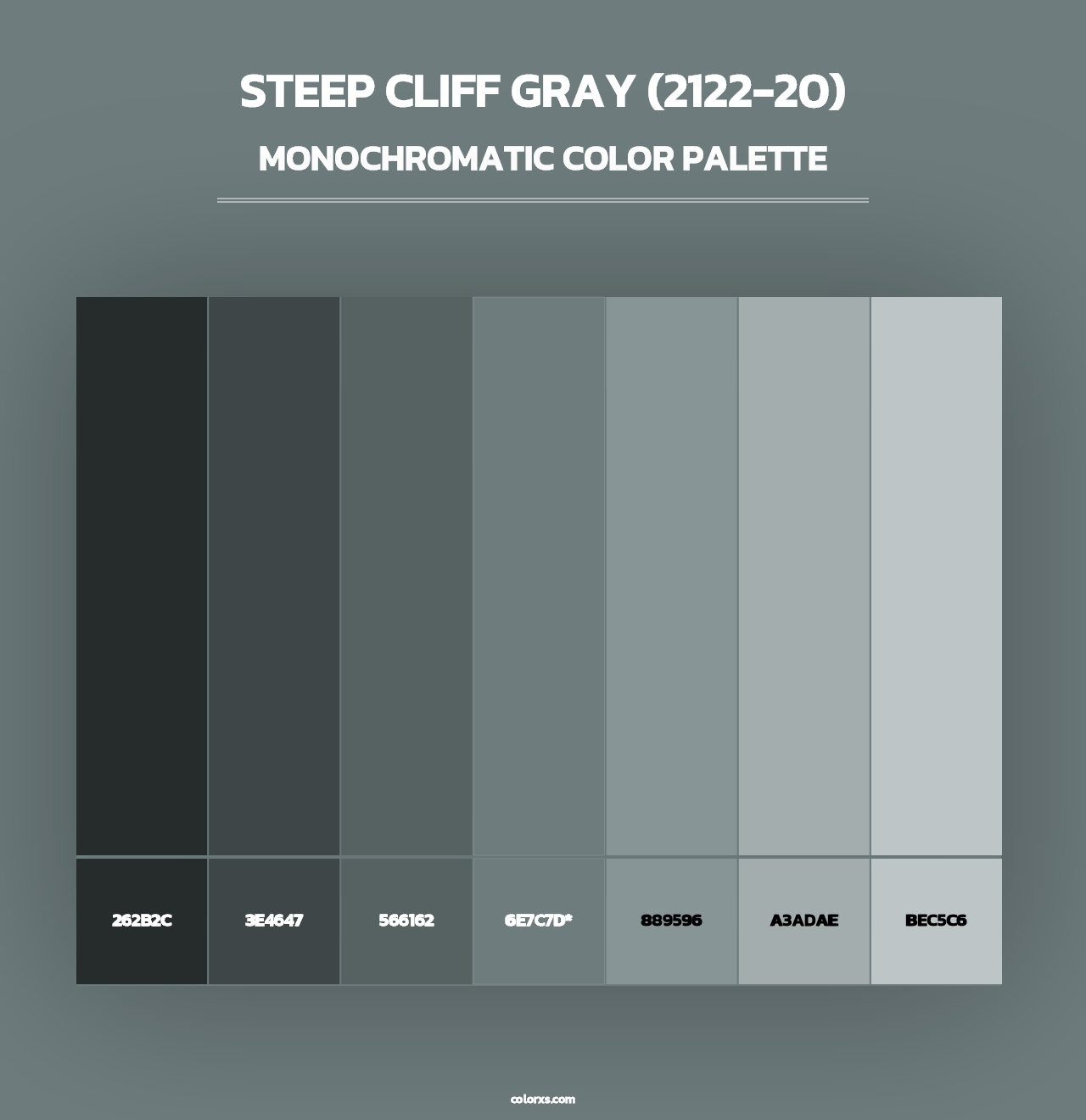 Steep Cliff Gray (2122-20) - Monochromatic Color Palette