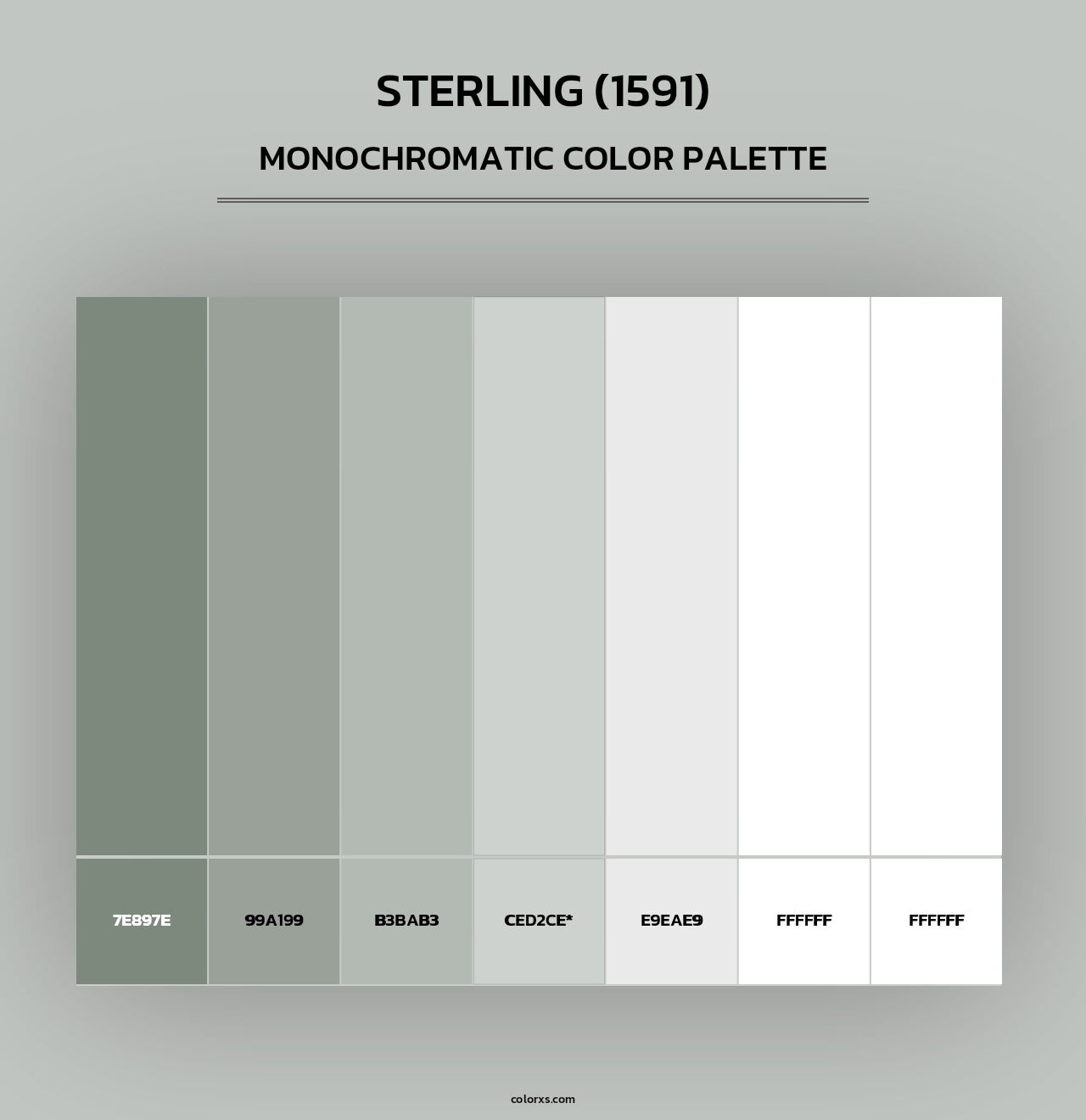 Sterling (1591) - Monochromatic Color Palette