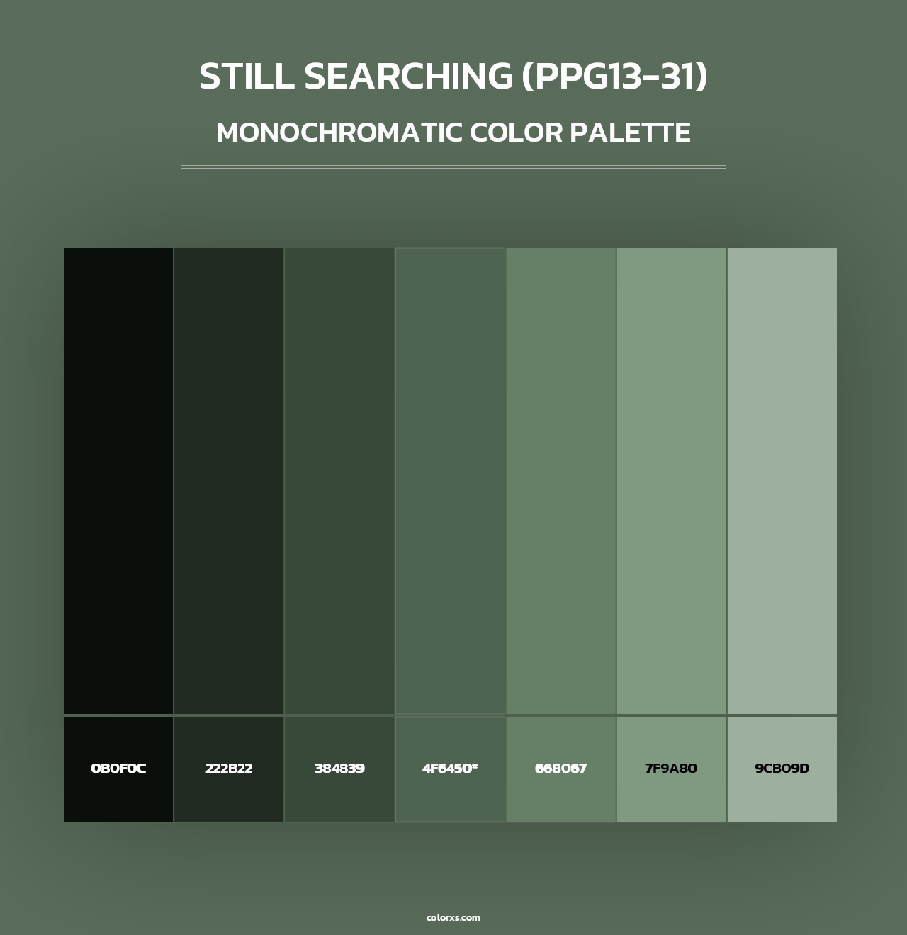 Still Searching (PPG13-31) - Monochromatic Color Palette