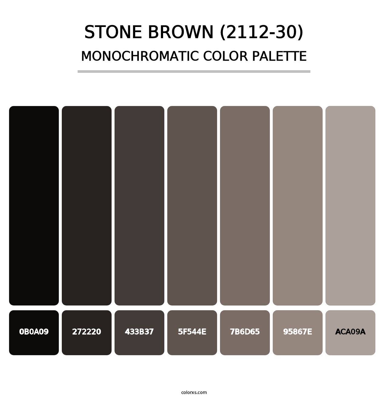 Stone Brown (2112-30) - Monochromatic Color Palette