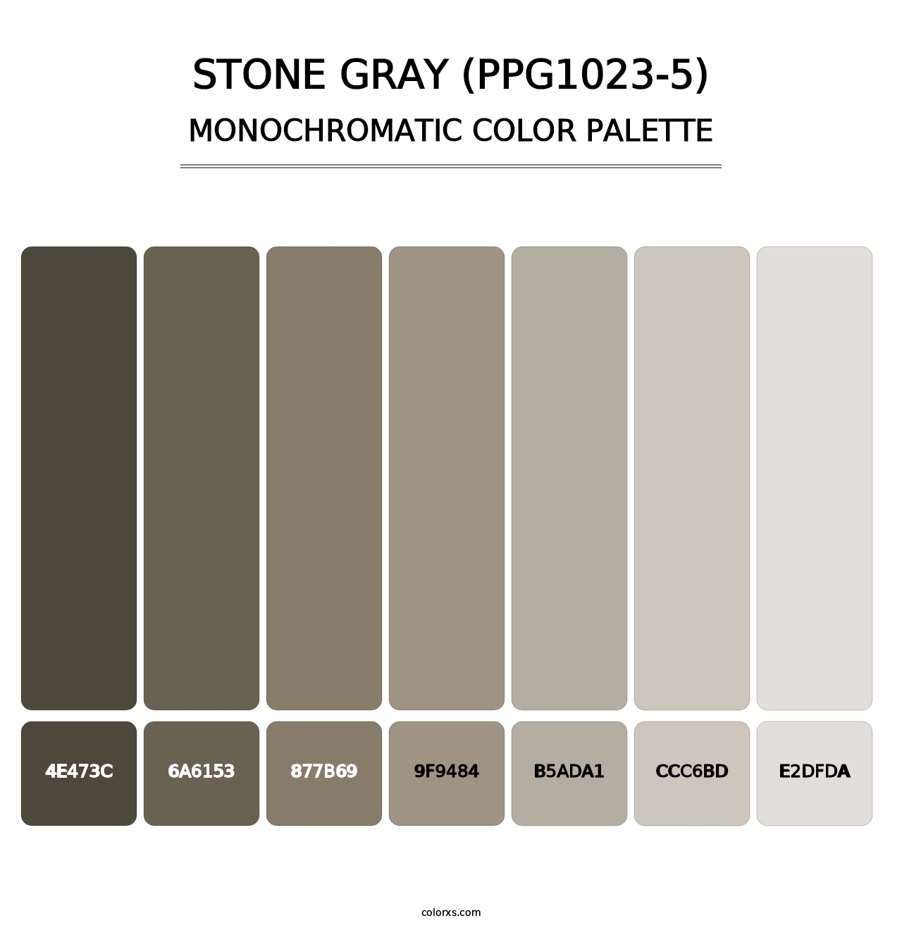 Stone Gray (PPG1023-5) - Monochromatic Color Palette