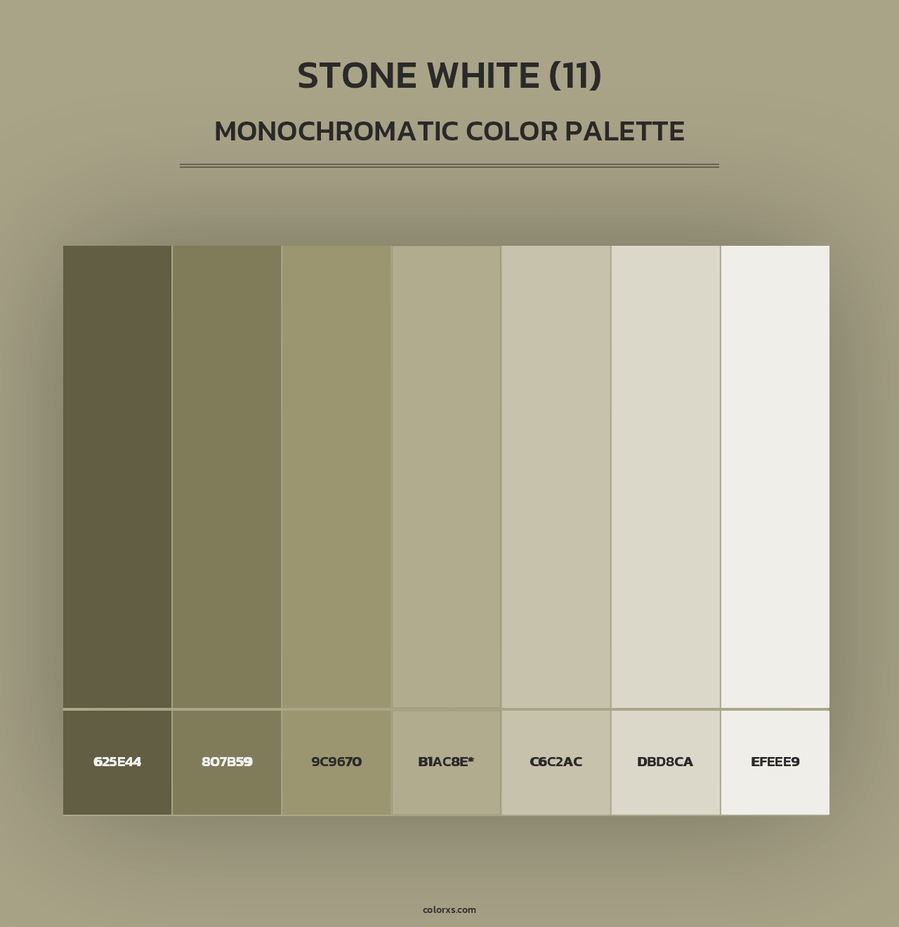 Stone White (11) - Monochromatic Color Palette