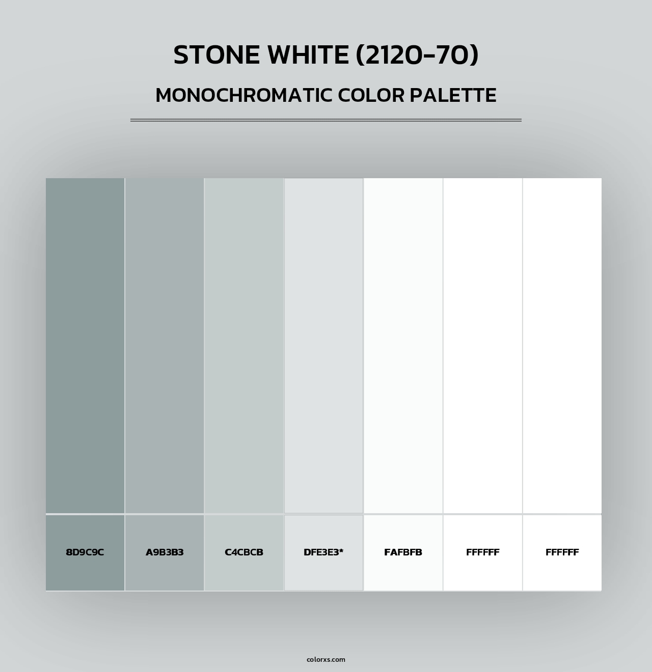 Stone White (2120-70) - Monochromatic Color Palette