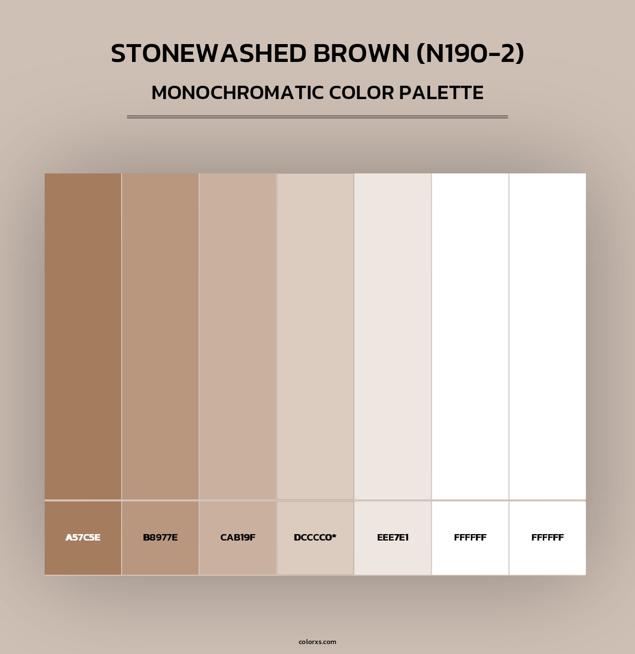Stonewashed Brown (N190-2) - Monochromatic Color Palette