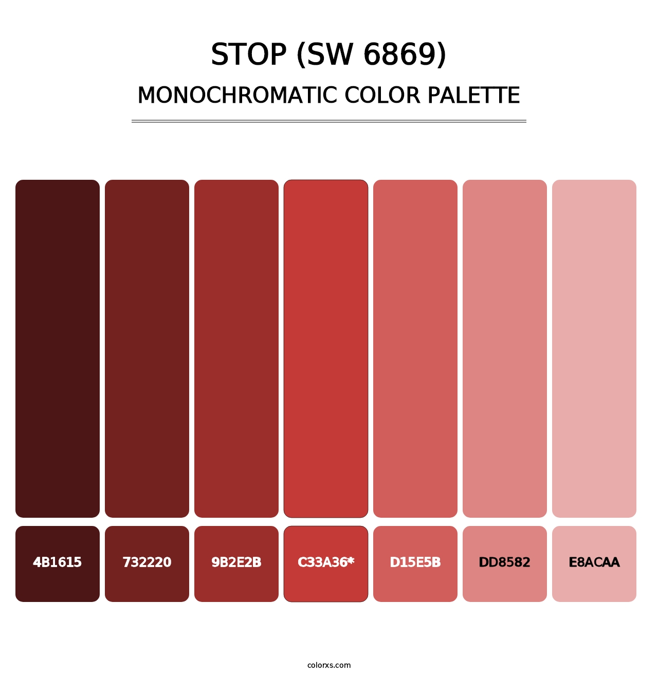Stop (SW 6869) - Monochromatic Color Palette