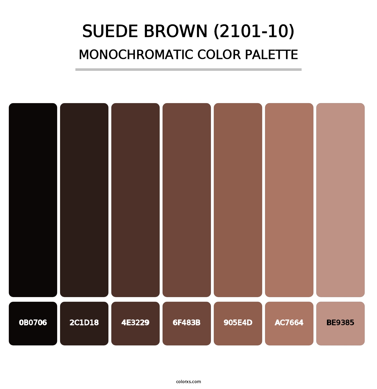 Suede Brown (2101-10) - Monochromatic Color Palette