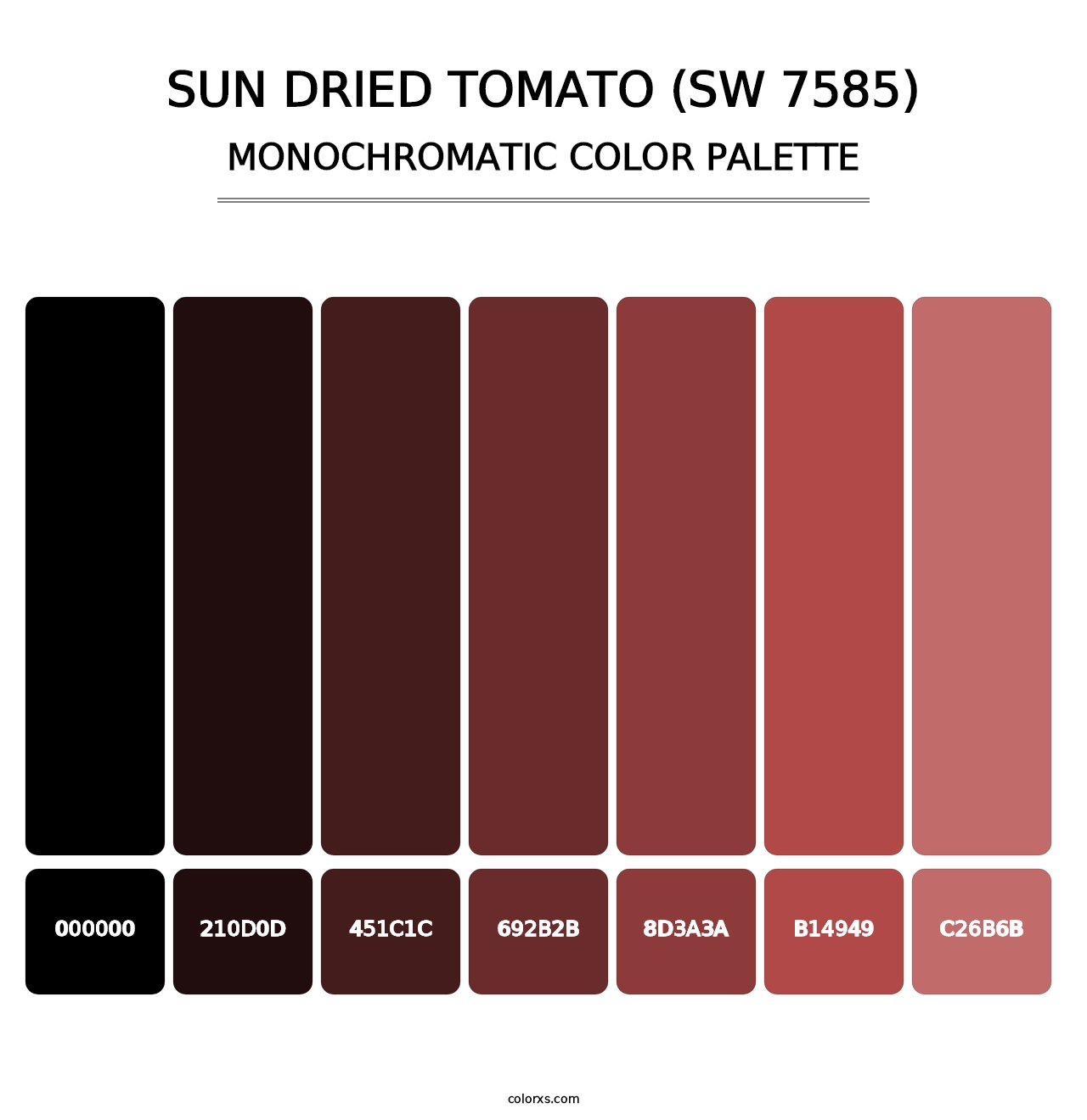 Sun Dried Tomato (SW 7585) - Monochromatic Color Palette