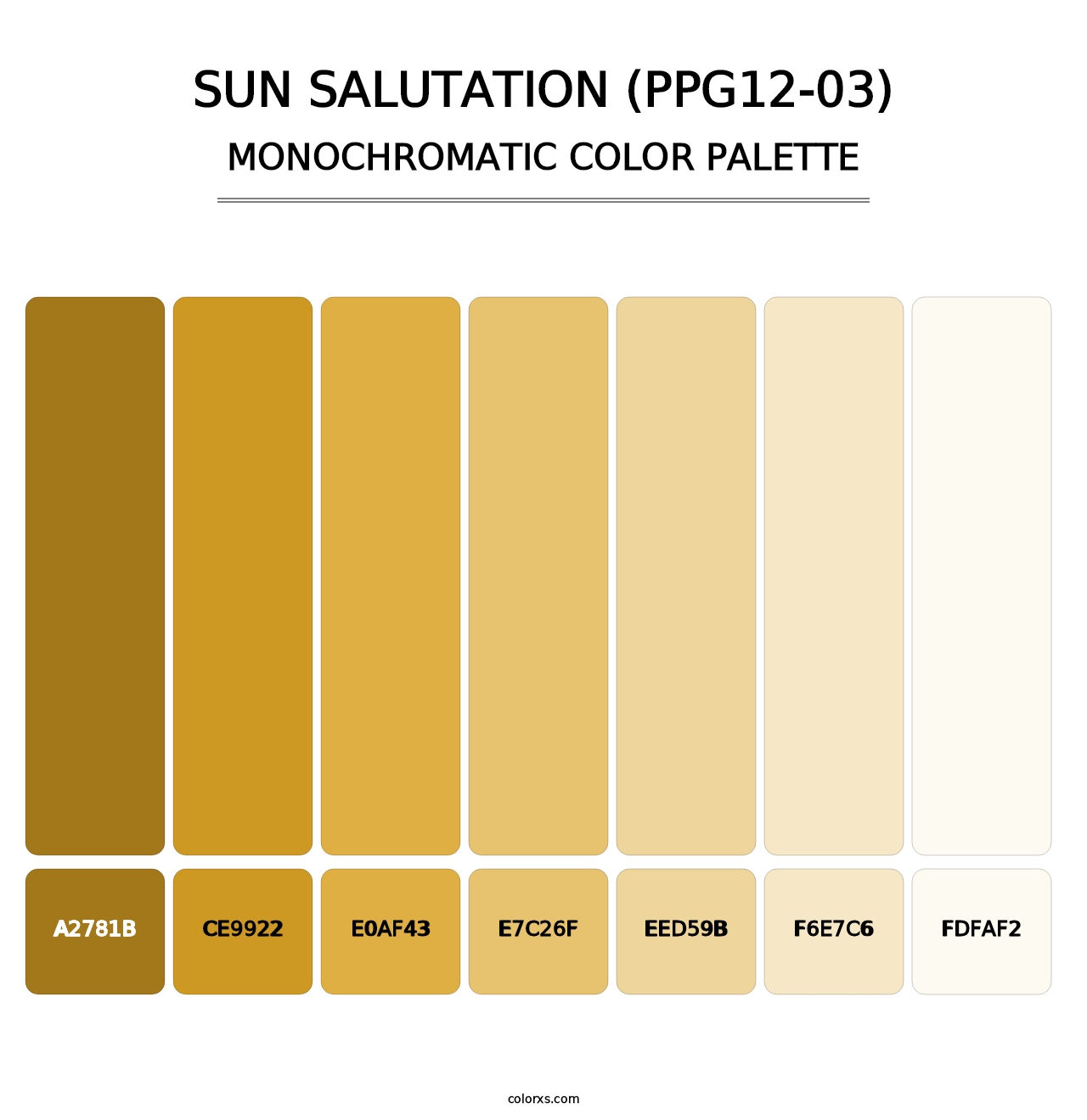 Sun Salutation (PPG12-03) - Monochromatic Color Palette
