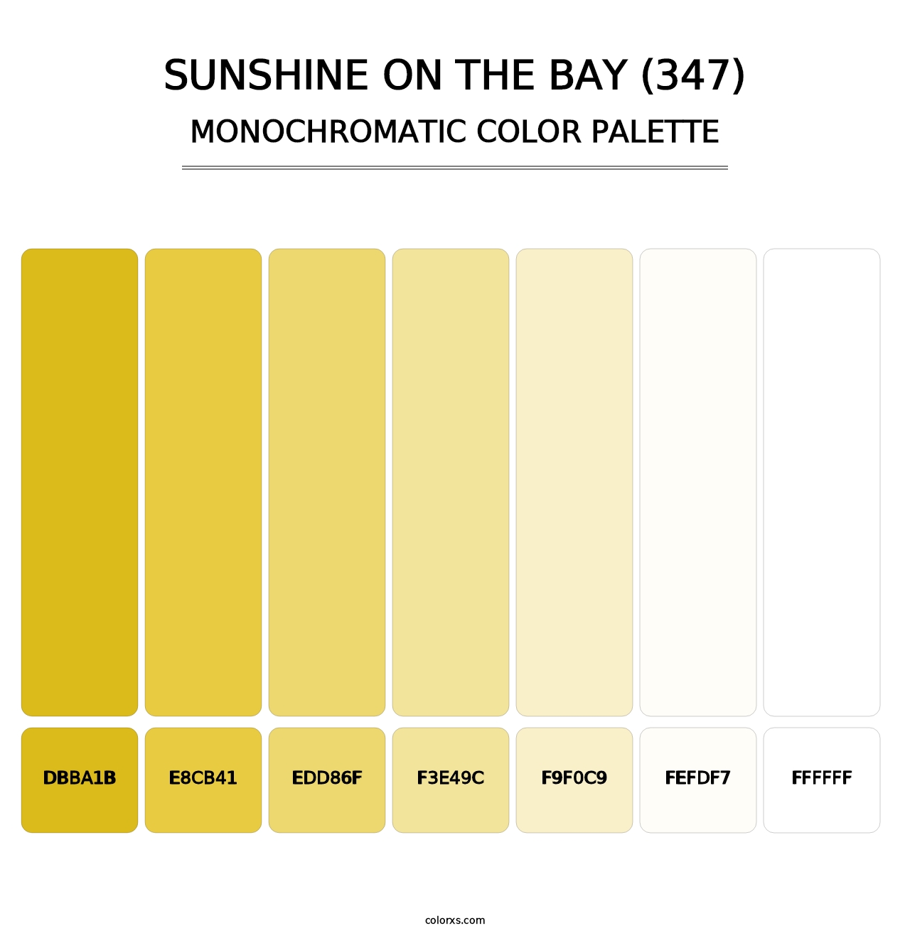Sunshine on the Bay (347) - Monochromatic Color Palette