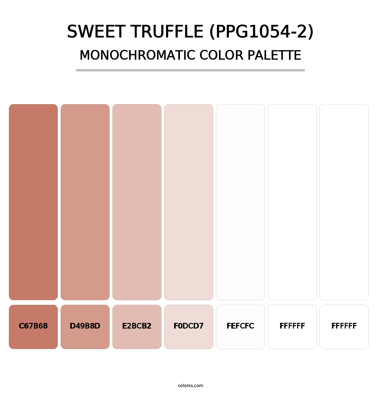 Sweet Truffle (PPG1054-2) - Monochromatic Color Palette