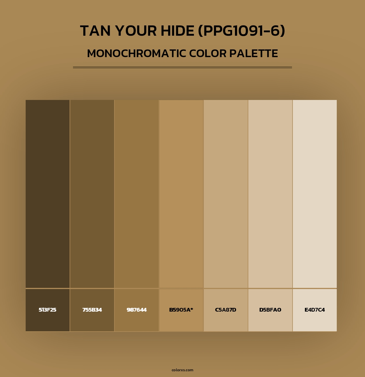 Tan Your Hide (PPG1091-6) - Monochromatic Color Palette