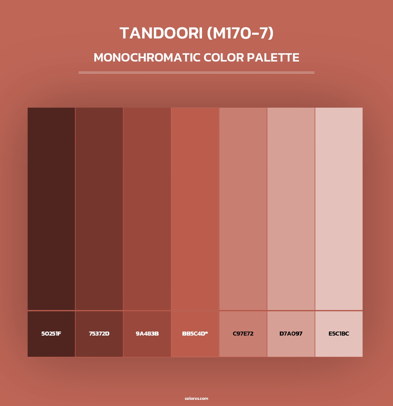 Tandoori (M170-7) - Monochromatic Color Palette