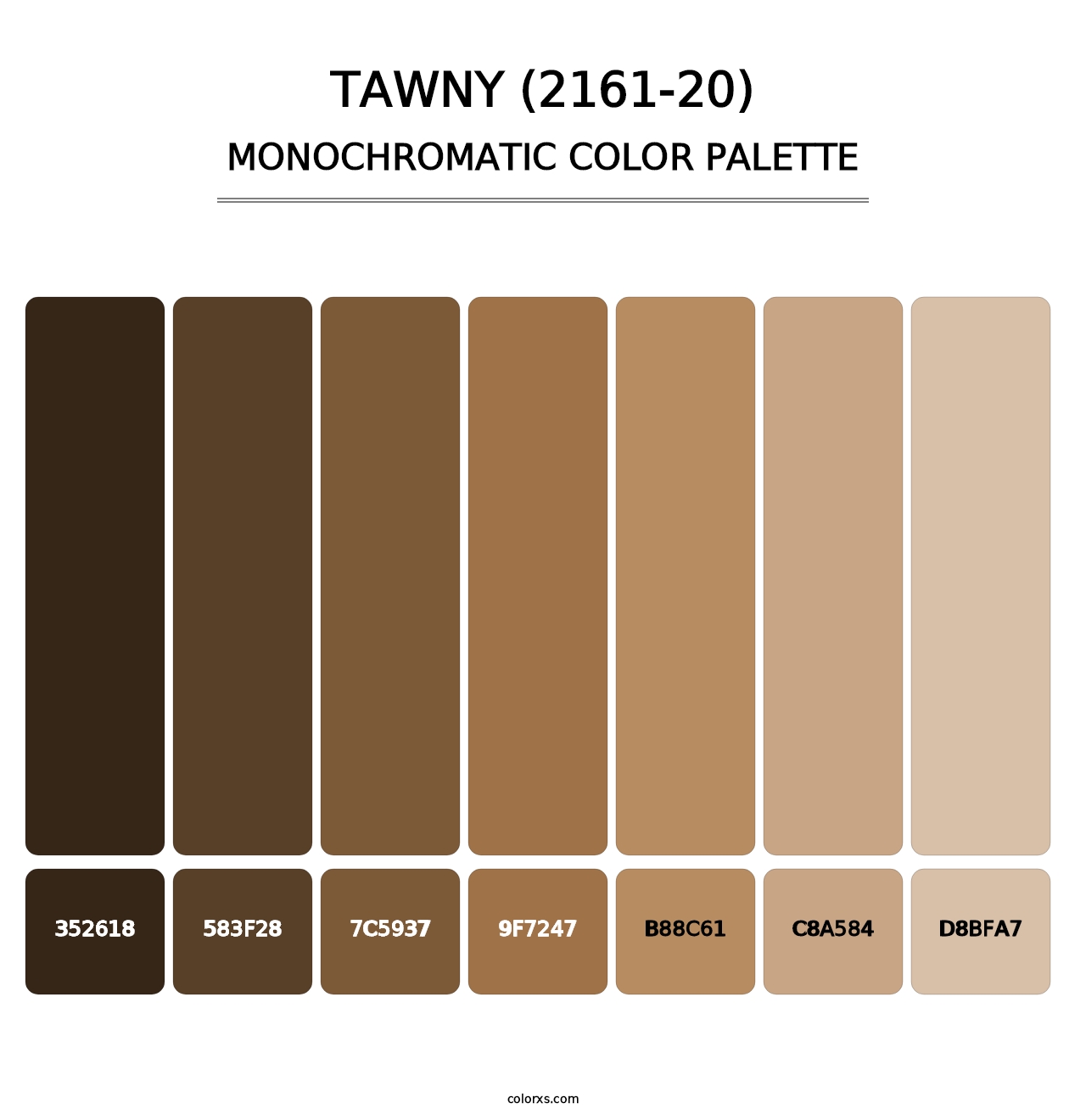 Tawny (2161-20) - Monochromatic Color Palette