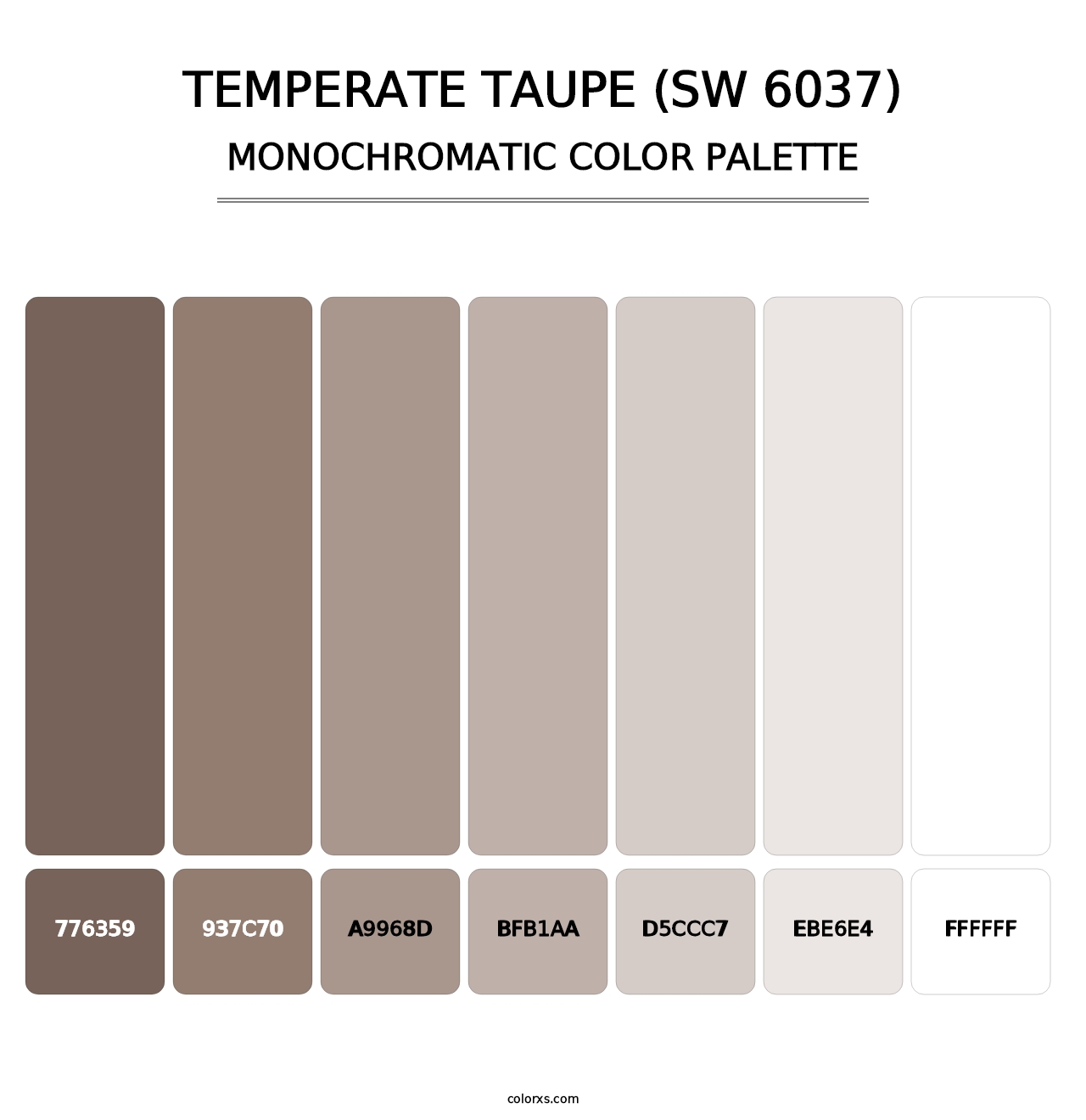 Temperate Taupe (SW 6037) - Monochromatic Color Palette