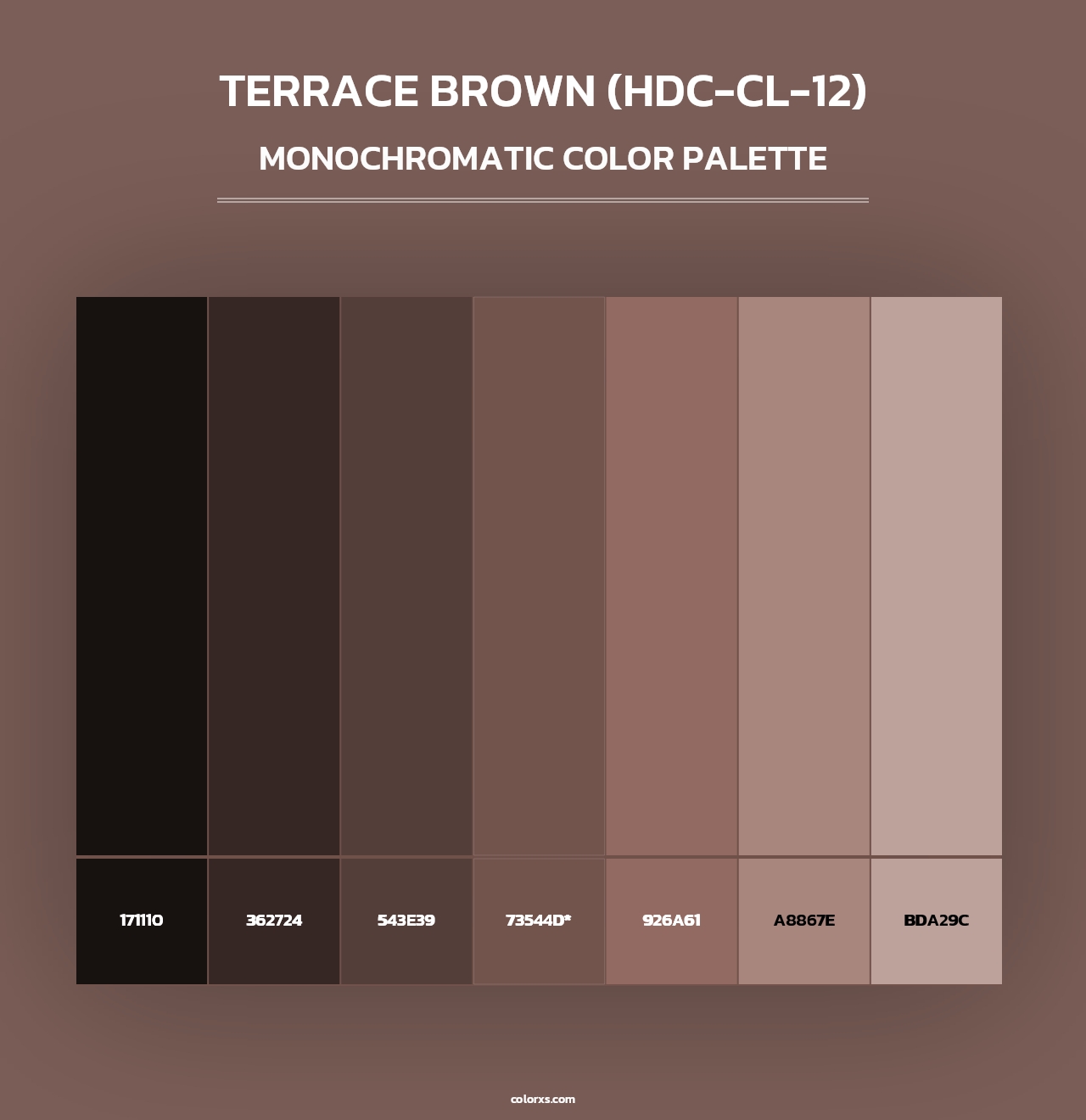 Terrace Brown (HDC-CL-12) - Monochromatic Color Palette