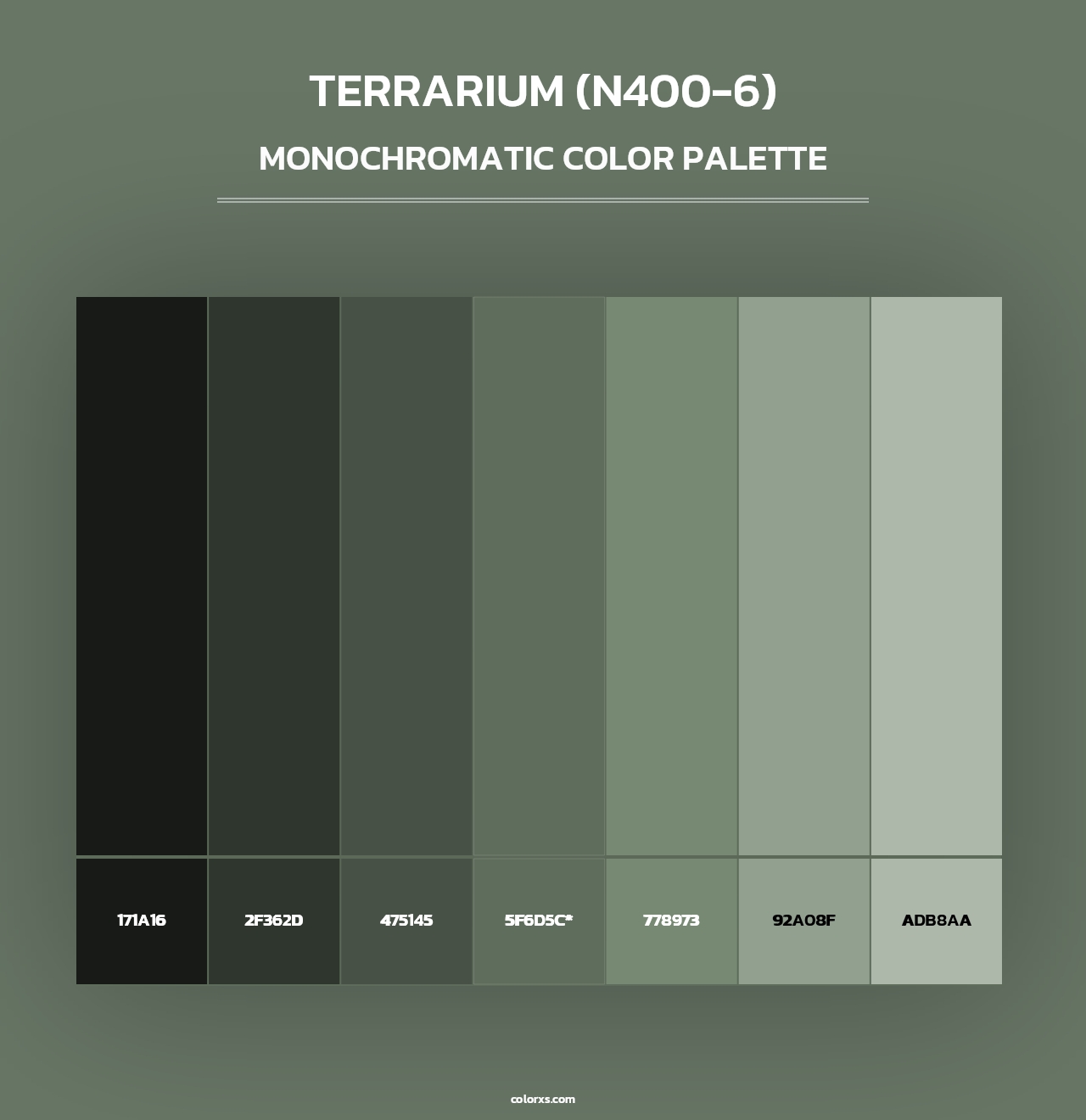 Terrarium (N400-6) - Monochromatic Color Palette