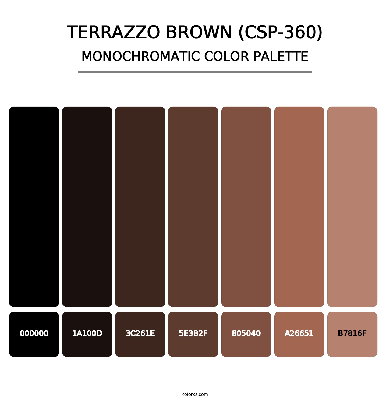 Terrazzo Brown (CSP-360) - Monochromatic Color Palette