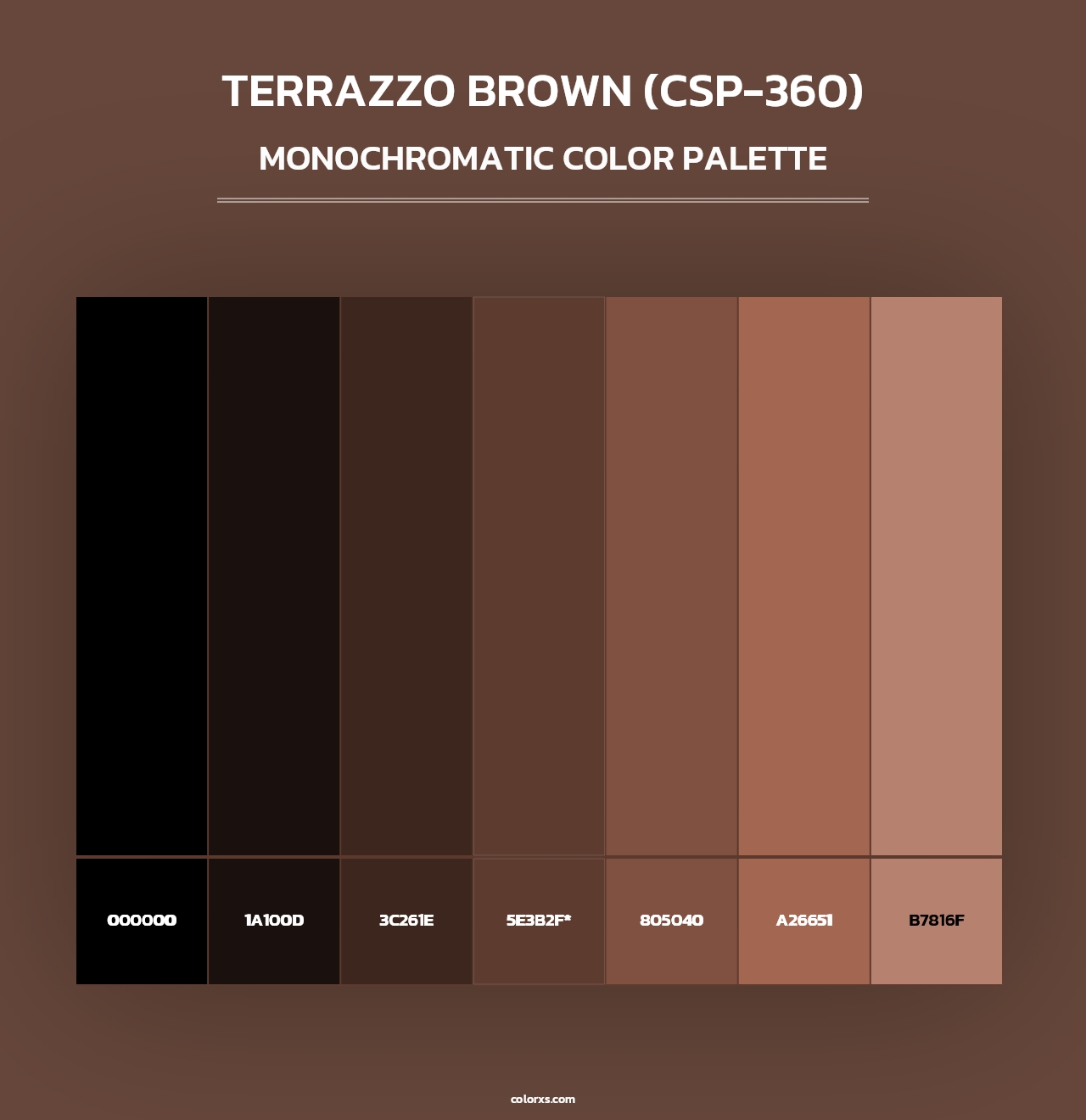 Terrazzo Brown (CSP-360) - Monochromatic Color Palette