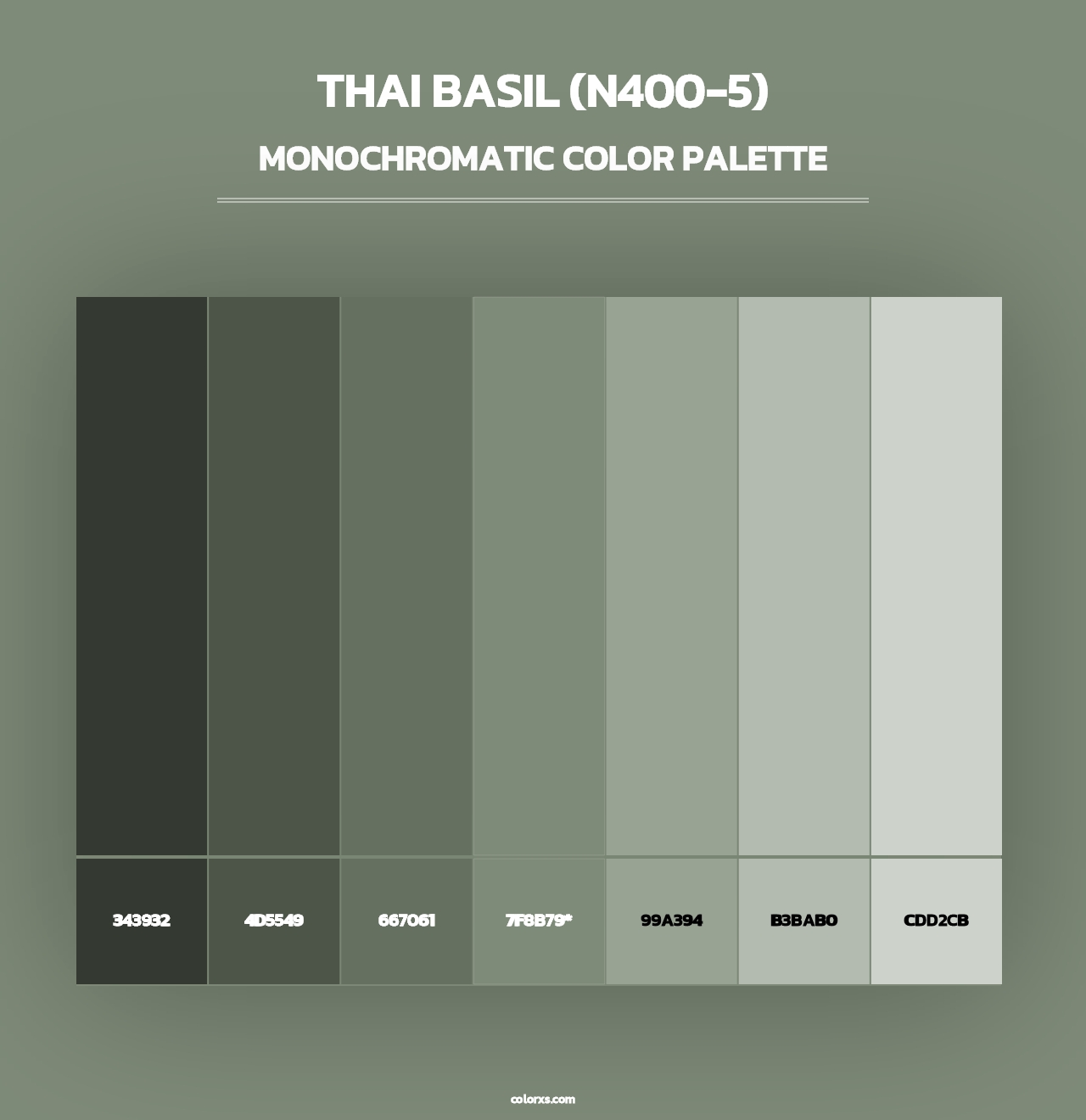Thai Basil (N400-5) - Monochromatic Color Palette