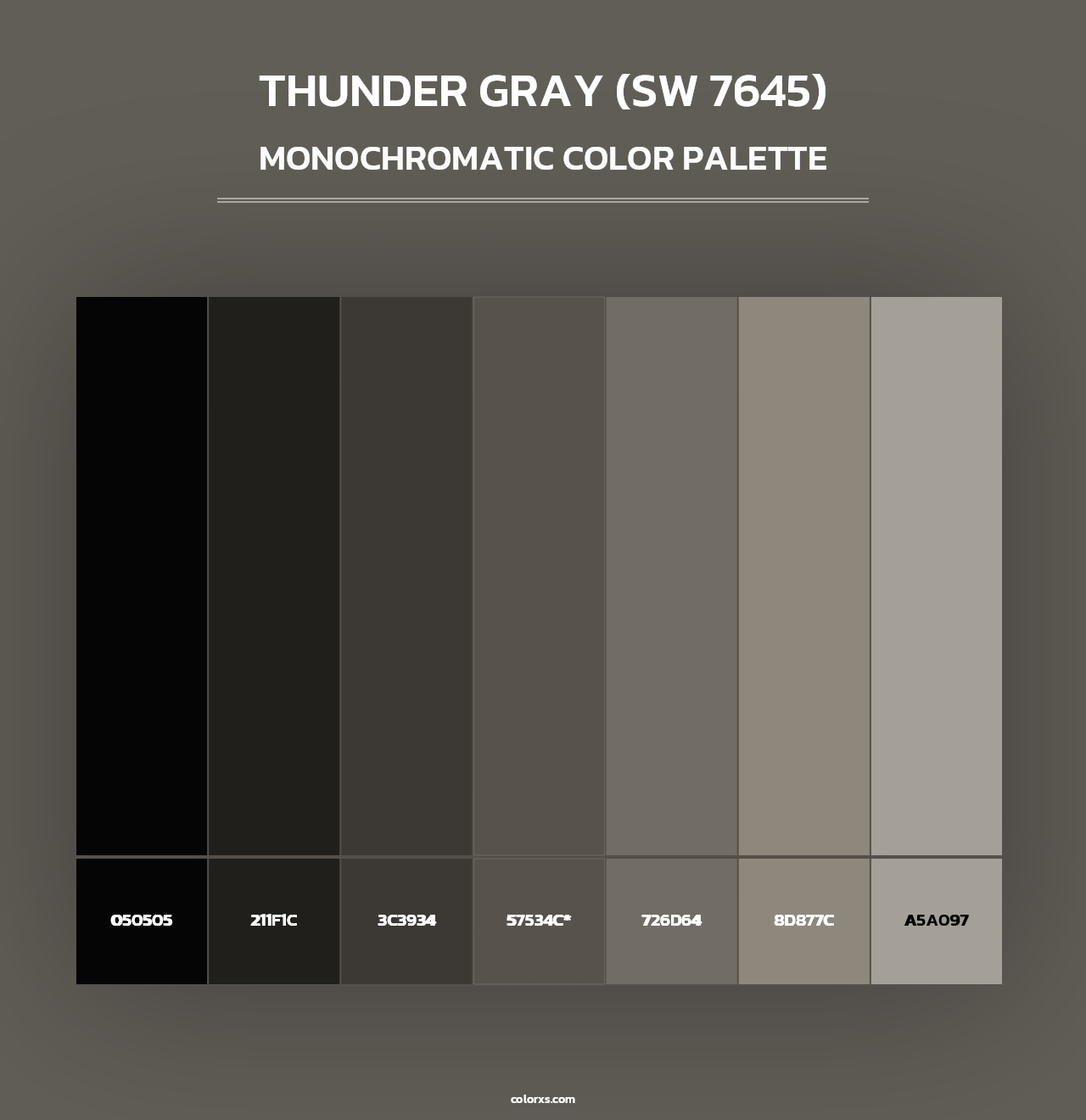 Thunder Gray (SW 7645) - Monochromatic Color Palette