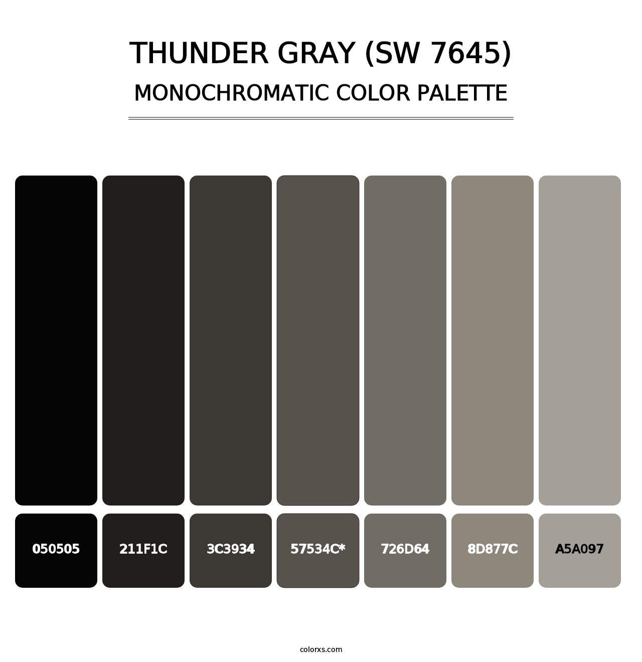 Thunder Gray (SW 7645) - Monochromatic Color Palette