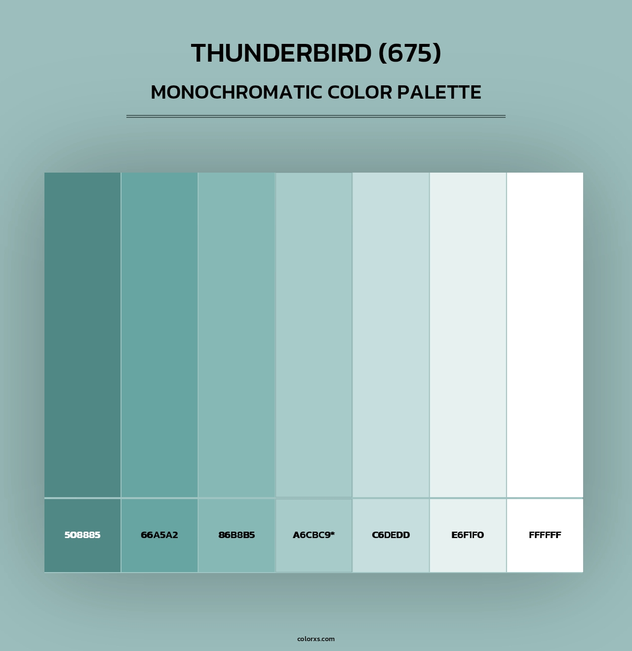 Thunderbird (675) - Monochromatic Color Palette