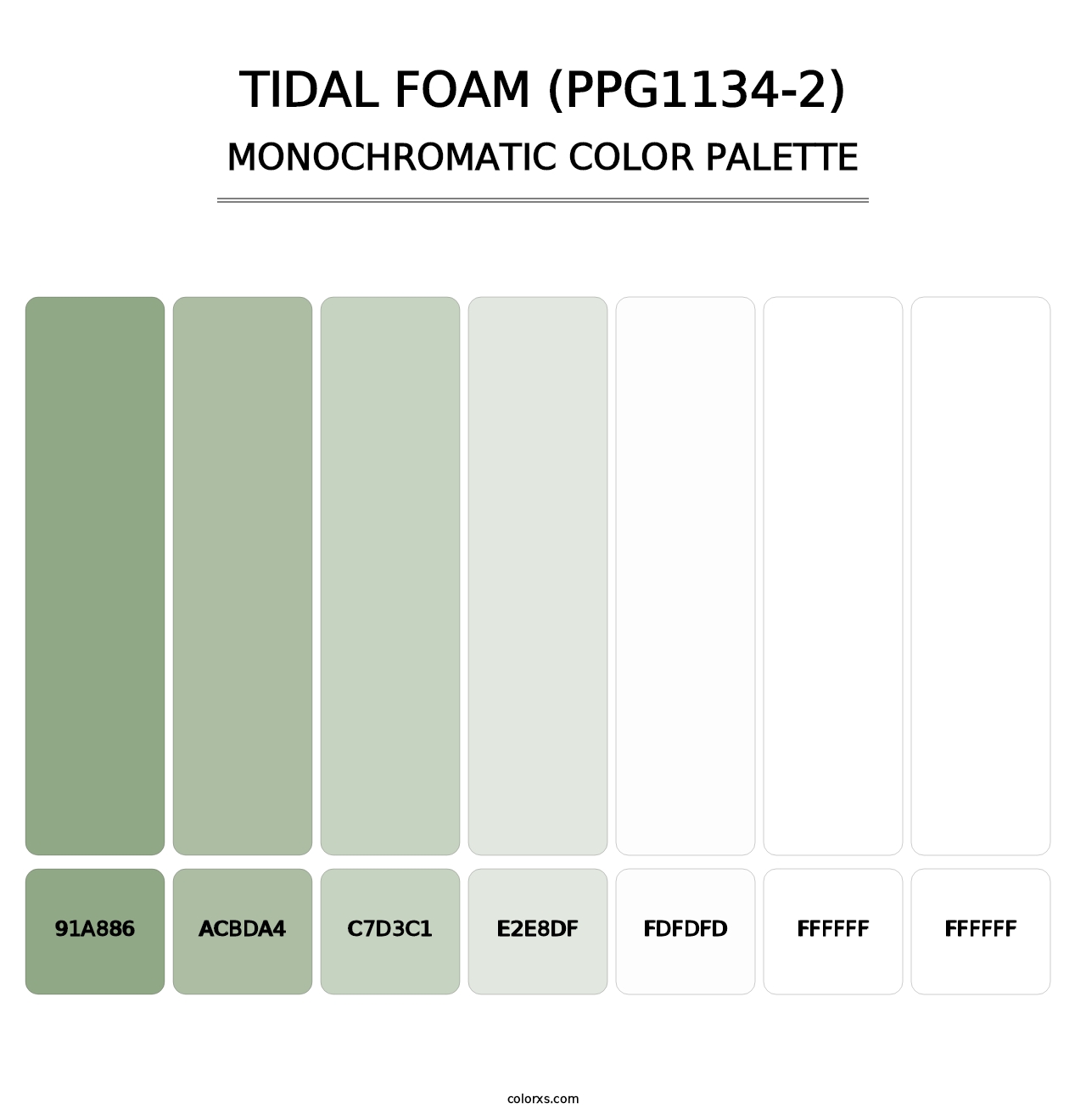 Tidal Foam (PPG1134-2) - Monochromatic Color Palette