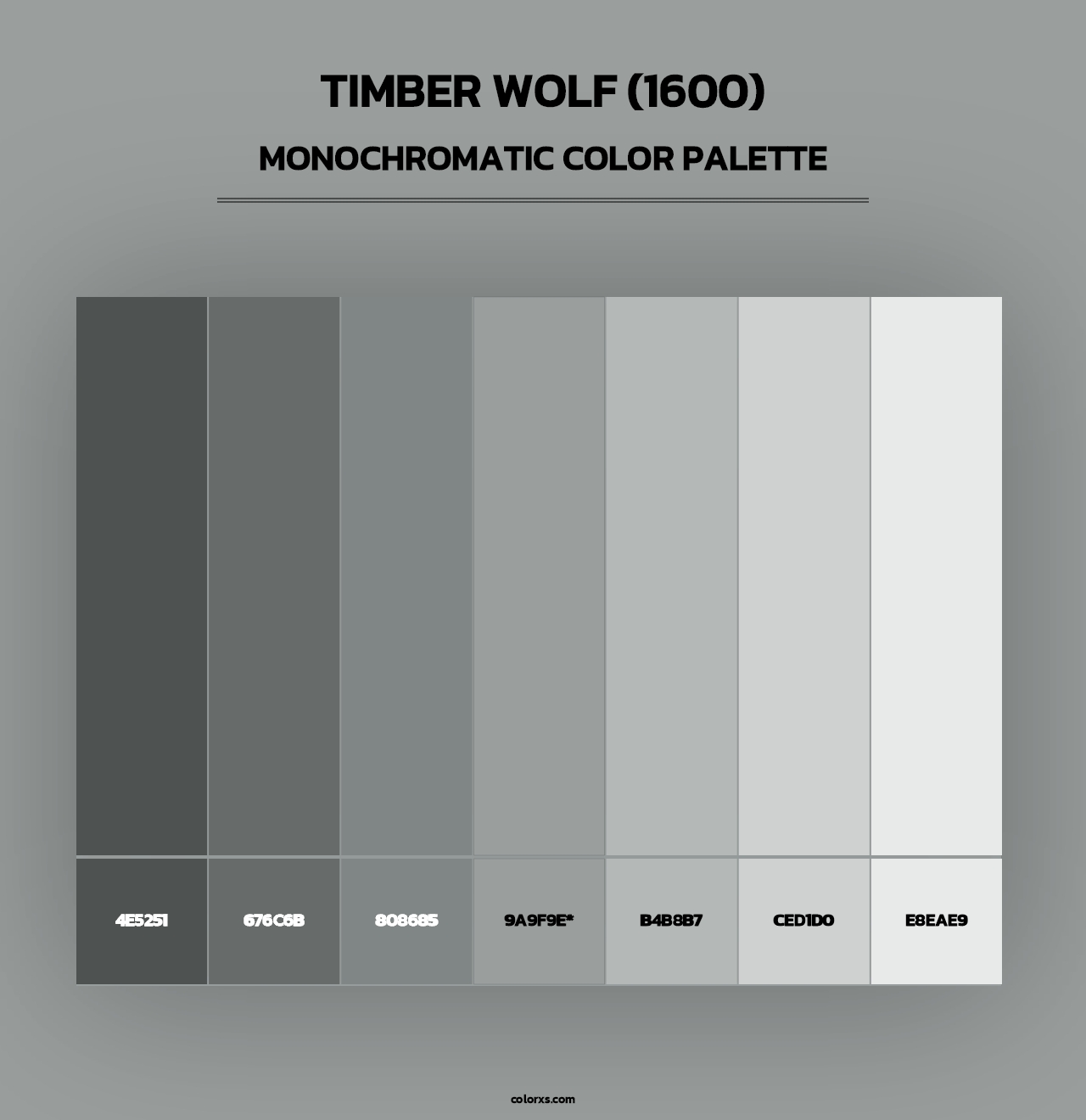 Timber Wolf (1600) - Monochromatic Color Palette