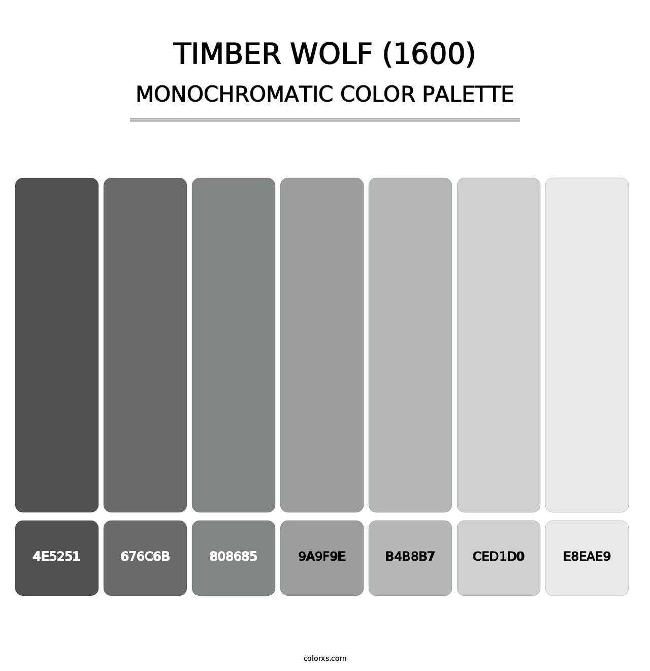 Timber Wolf (1600) - Monochromatic Color Palette