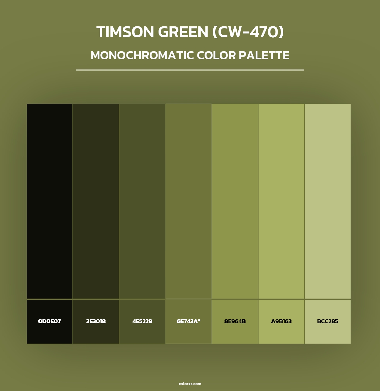 Timson Green (CW-470) - Monochromatic Color Palette