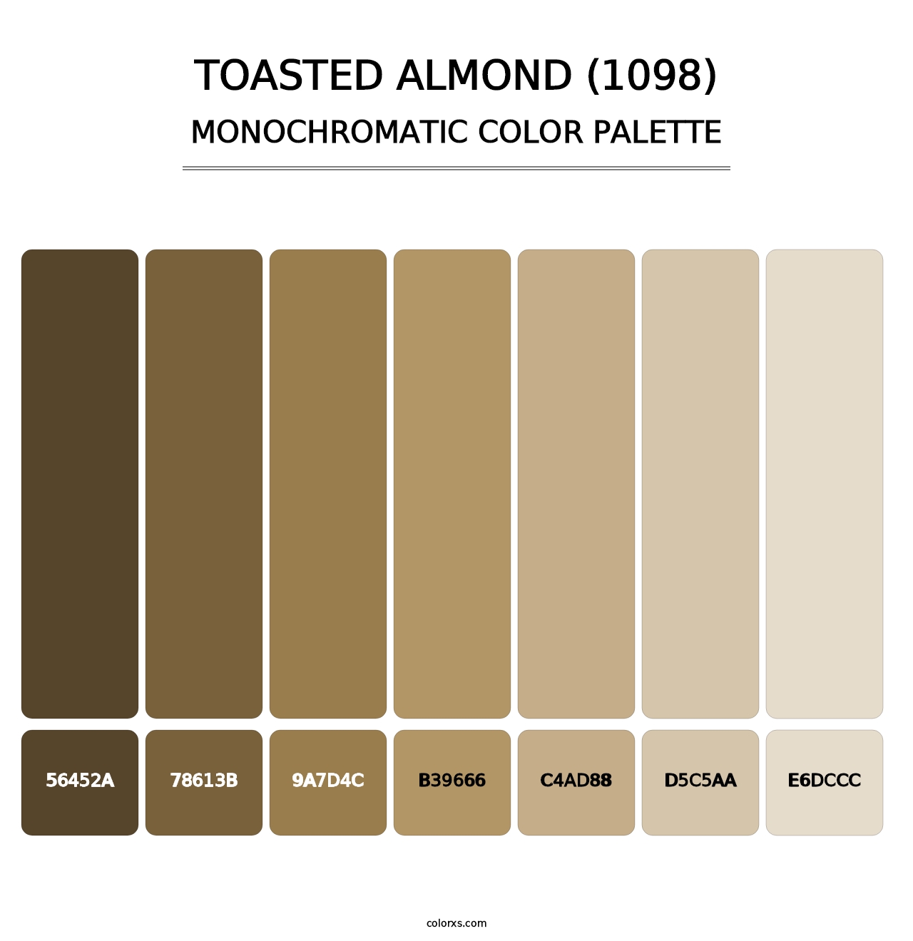 Toasted Almond (1098) - Monochromatic Color Palette