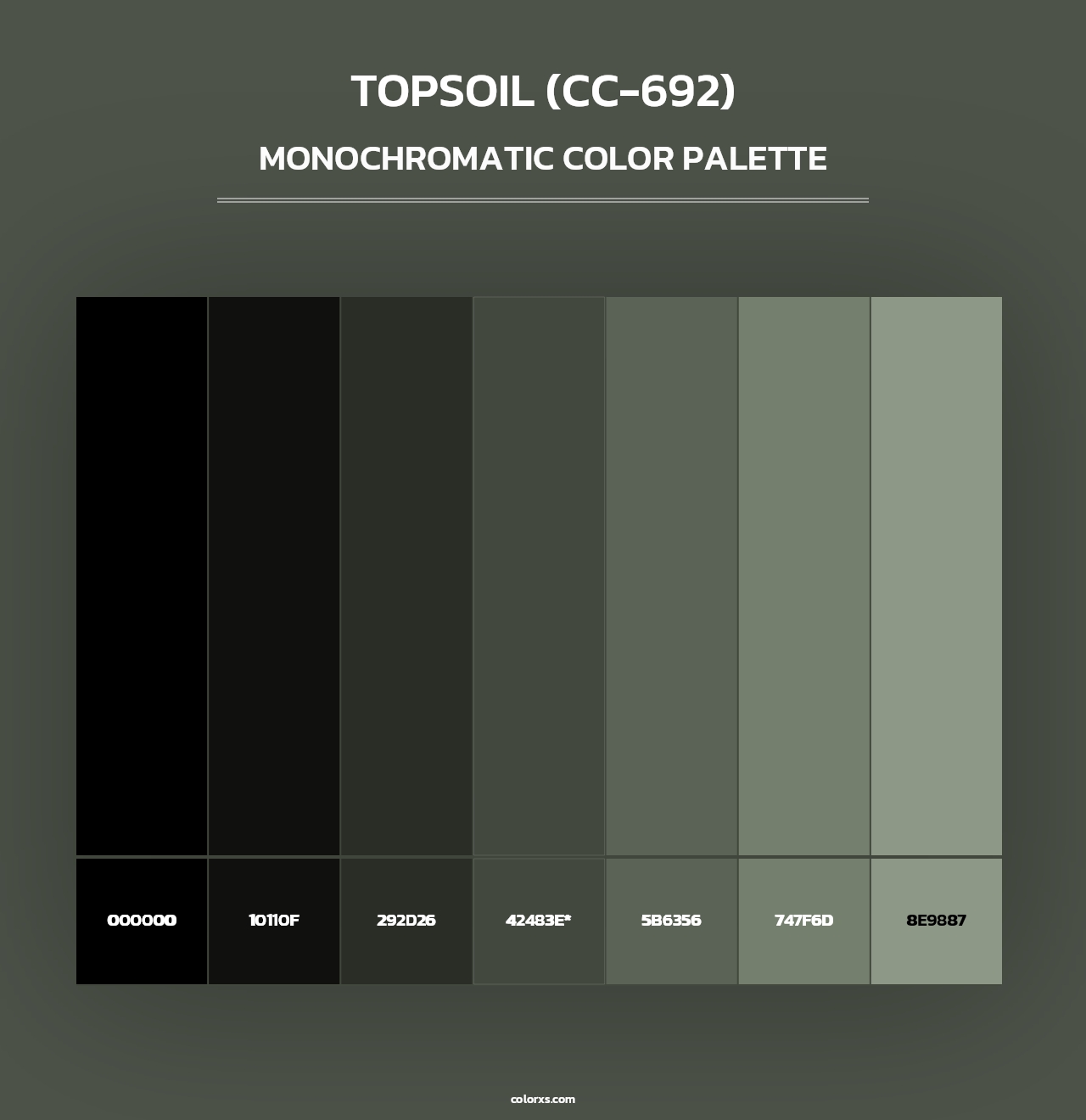 Topsoil (CC-692) - Monochromatic Color Palette