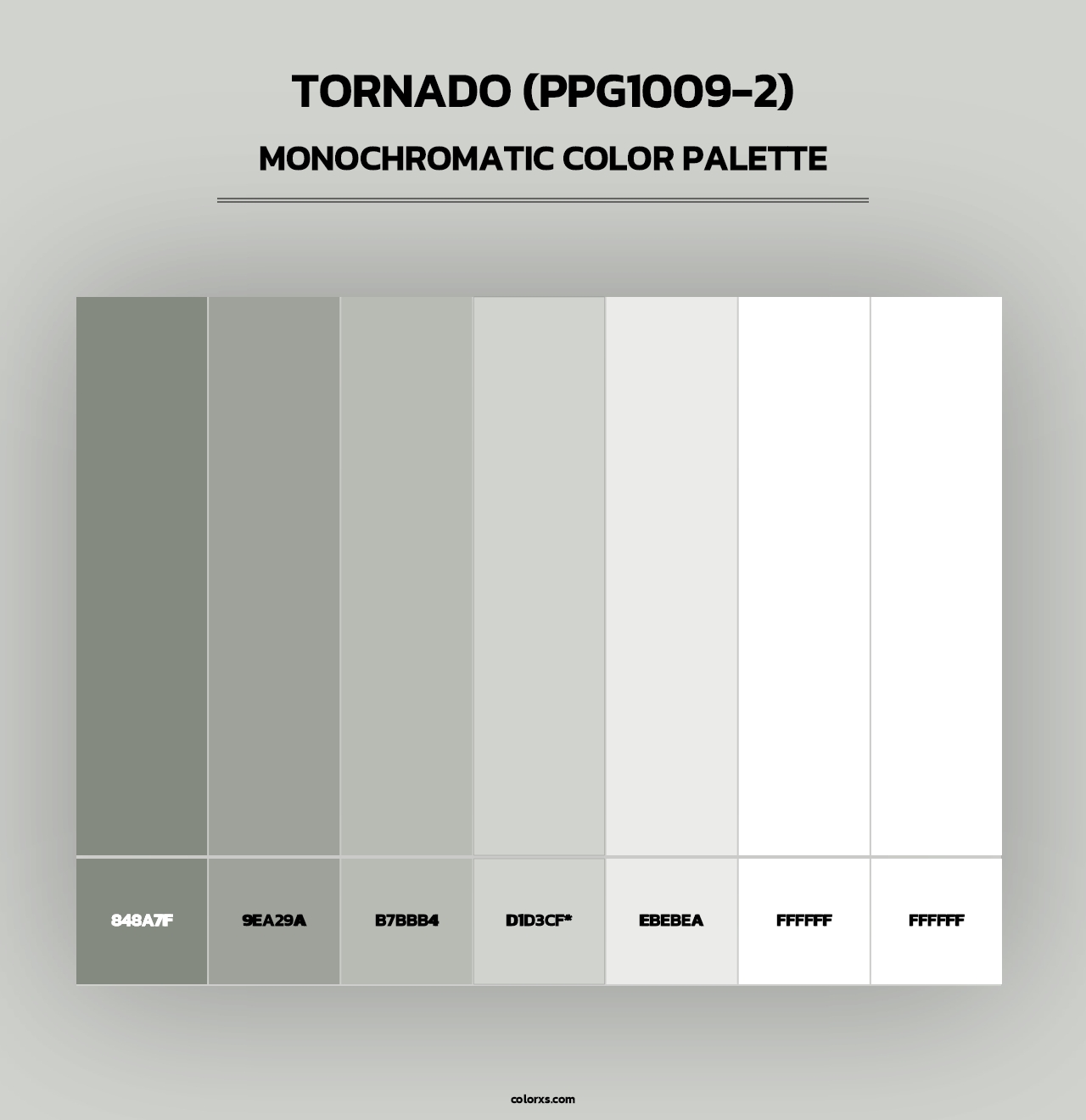 Tornado (PPG1009-2) - Monochromatic Color Palette