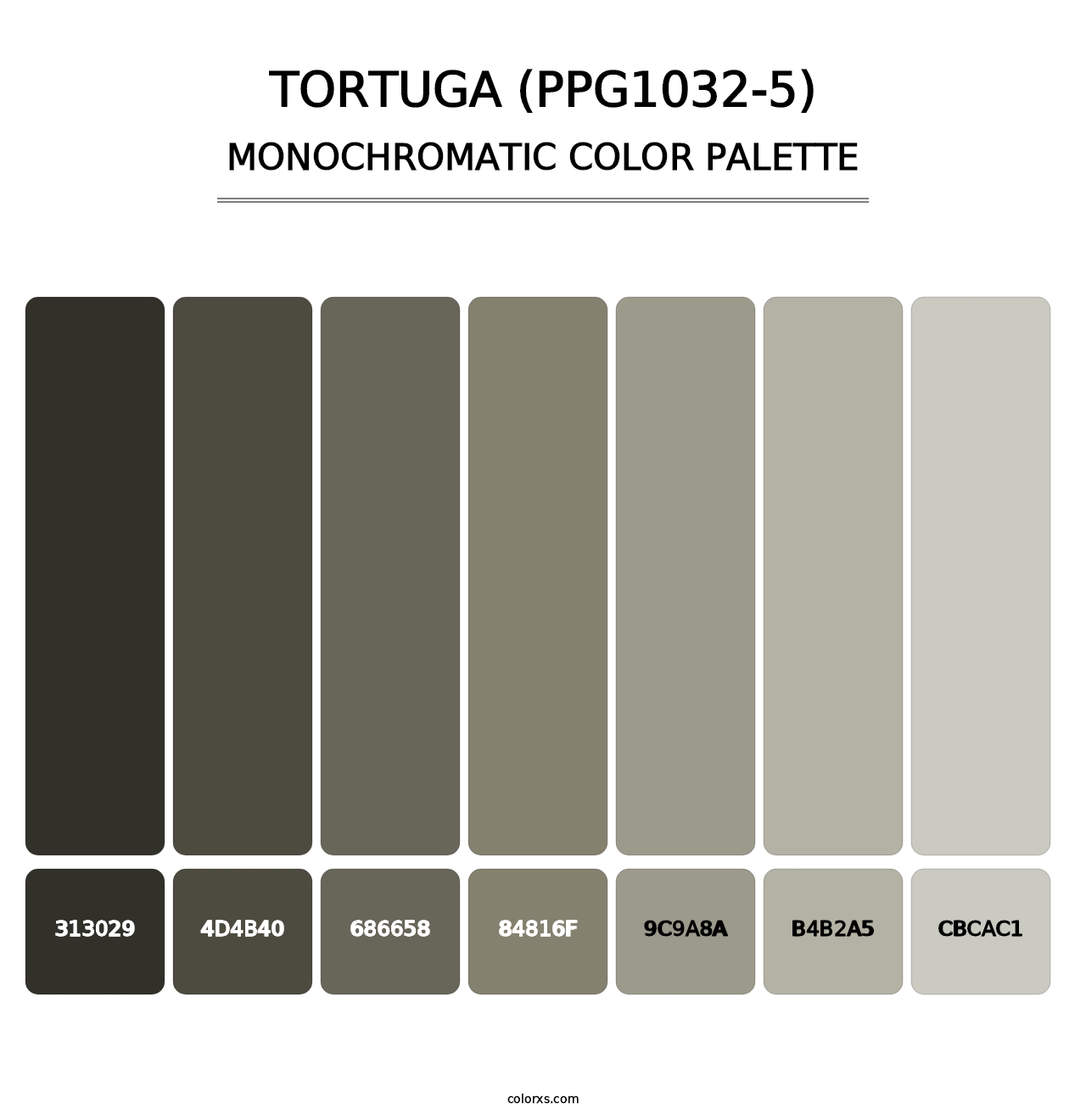 Tortuga (PPG1032-5) - Monochromatic Color Palette