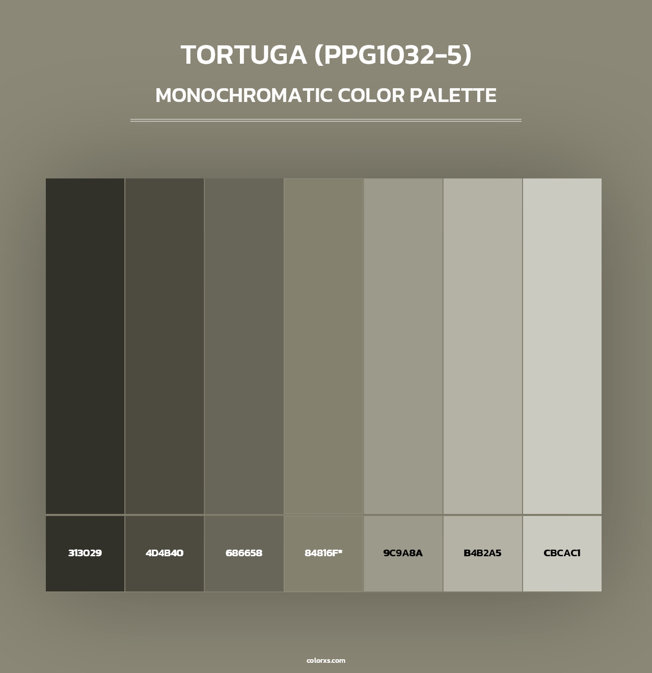 Tortuga (PPG1032-5) - Monochromatic Color Palette