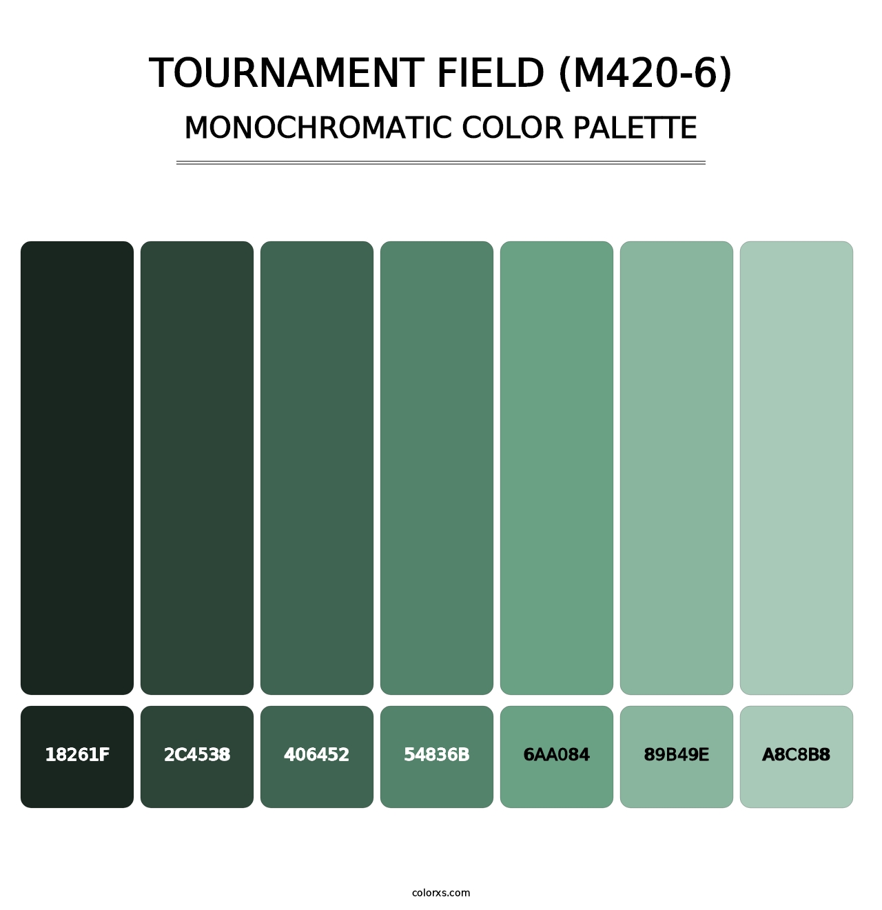 Tournament Field (M420-6) - Monochromatic Color Palette