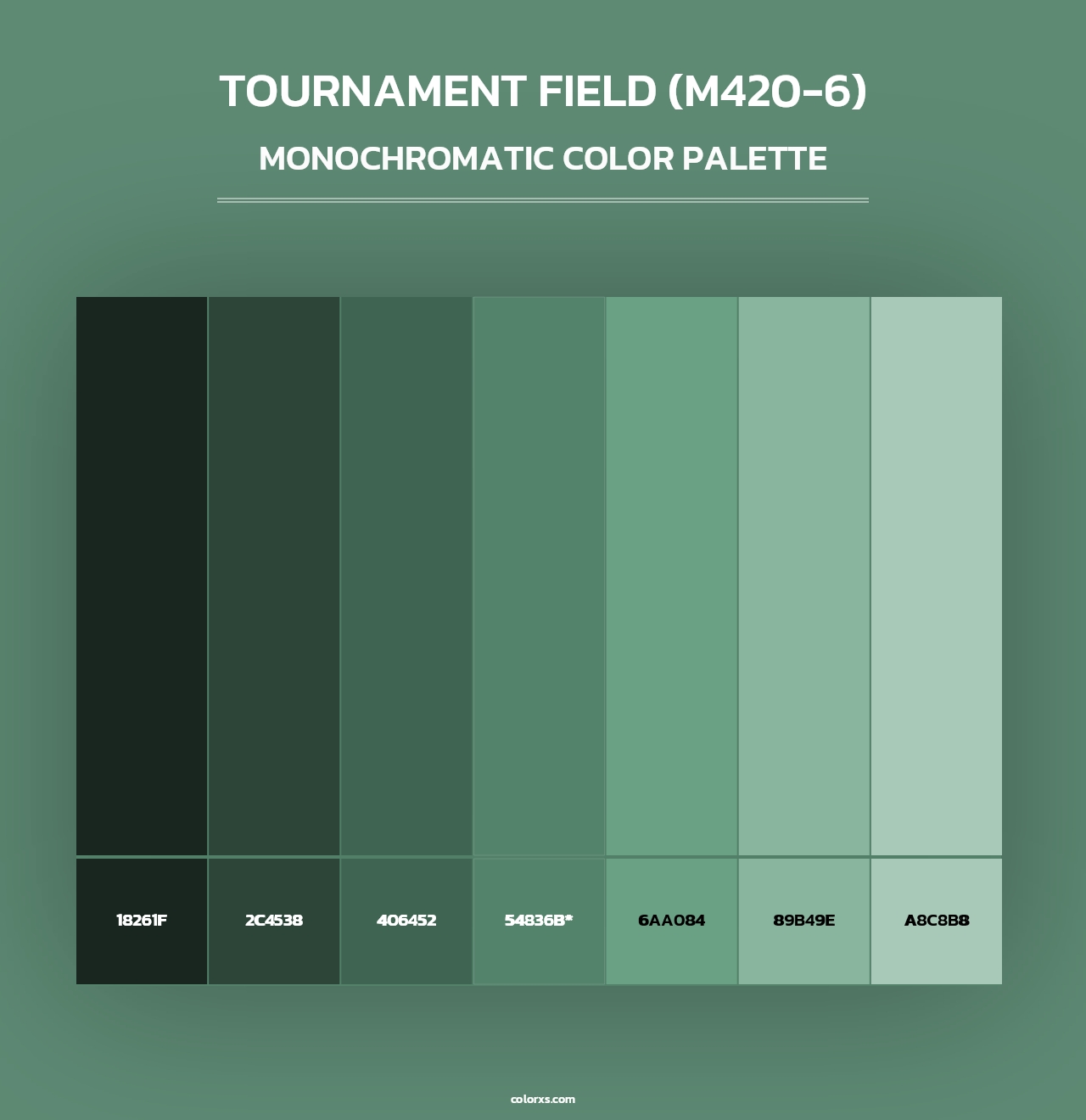 Tournament Field (M420-6) - Monochromatic Color Palette