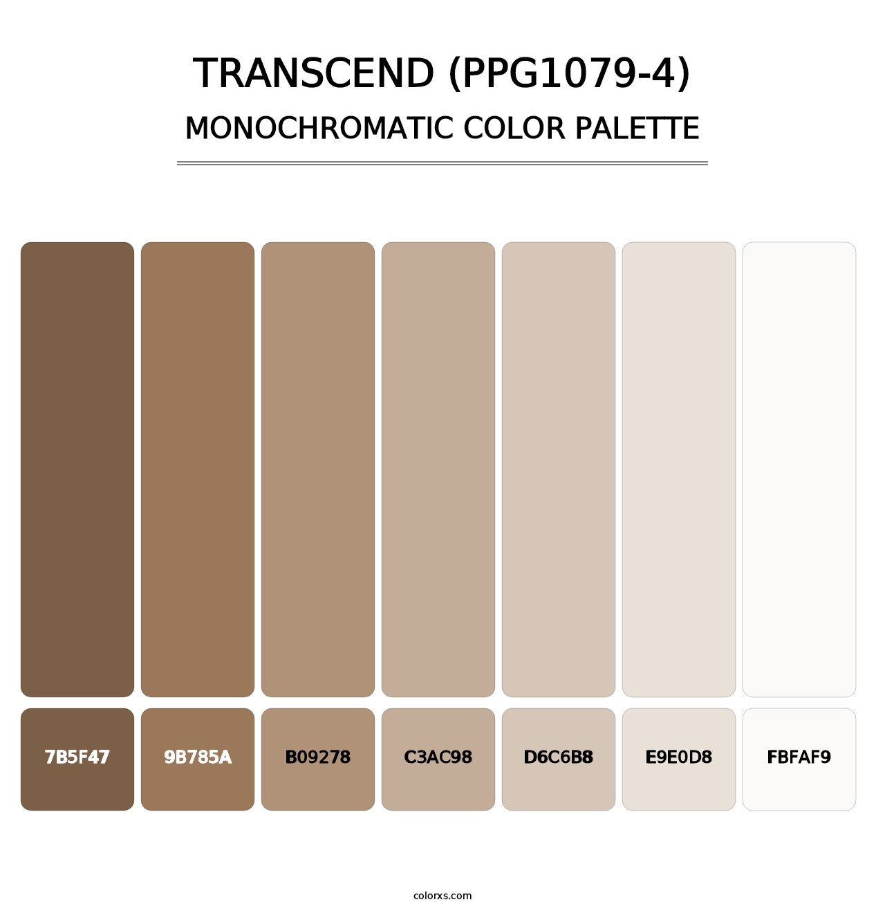 Transcend (PPG1079-4) - Monochromatic Color Palette