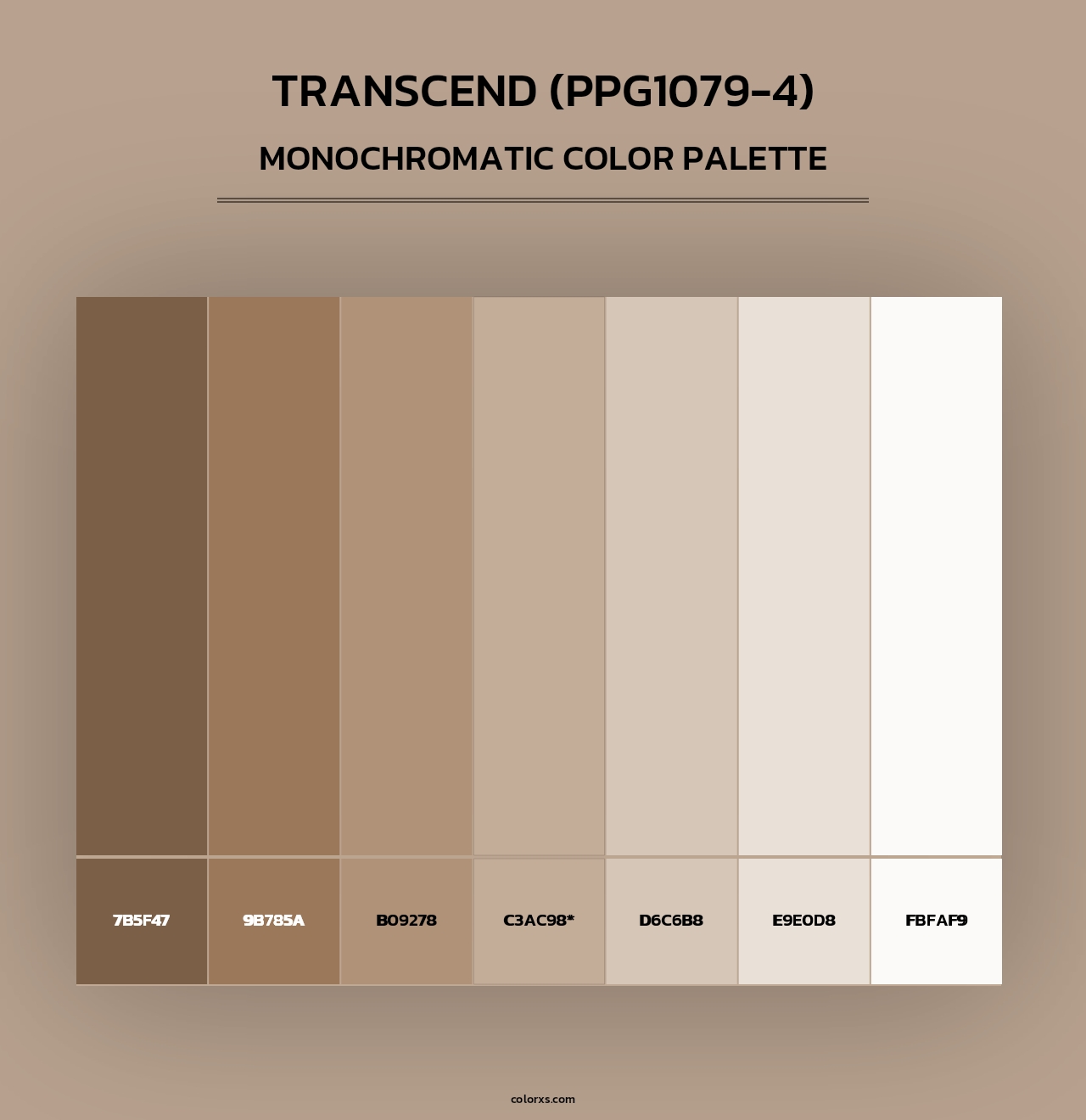 Transcend (PPG1079-4) - Monochromatic Color Palette