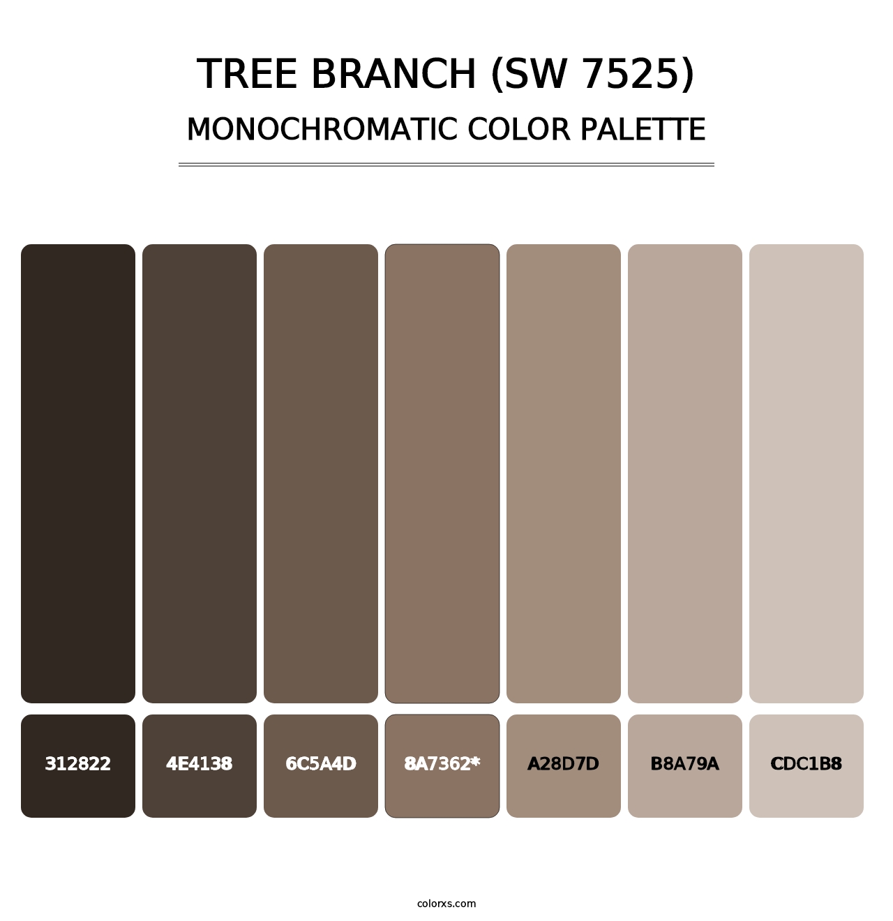 Tree Branch (SW 7525) - Monochromatic Color Palette