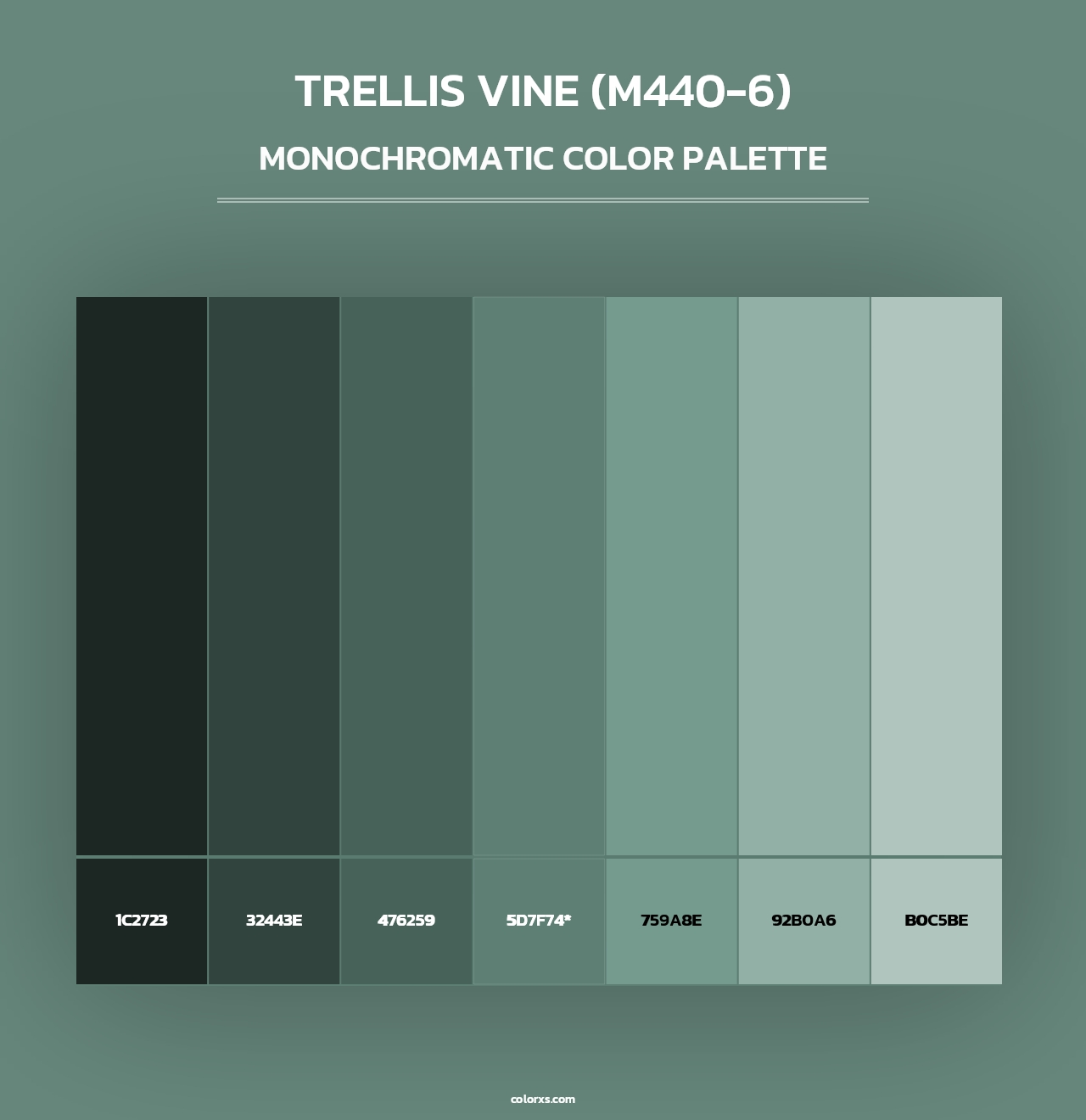 Trellis Vine (M440-6) - Monochromatic Color Palette