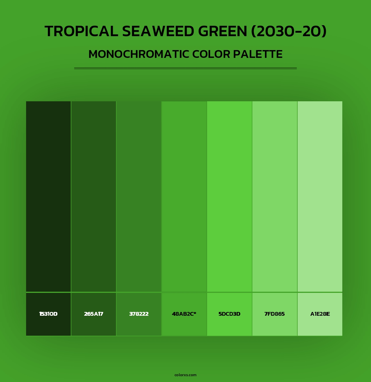 Tropical Seaweed Green (2030-20) - Monochromatic Color Palette