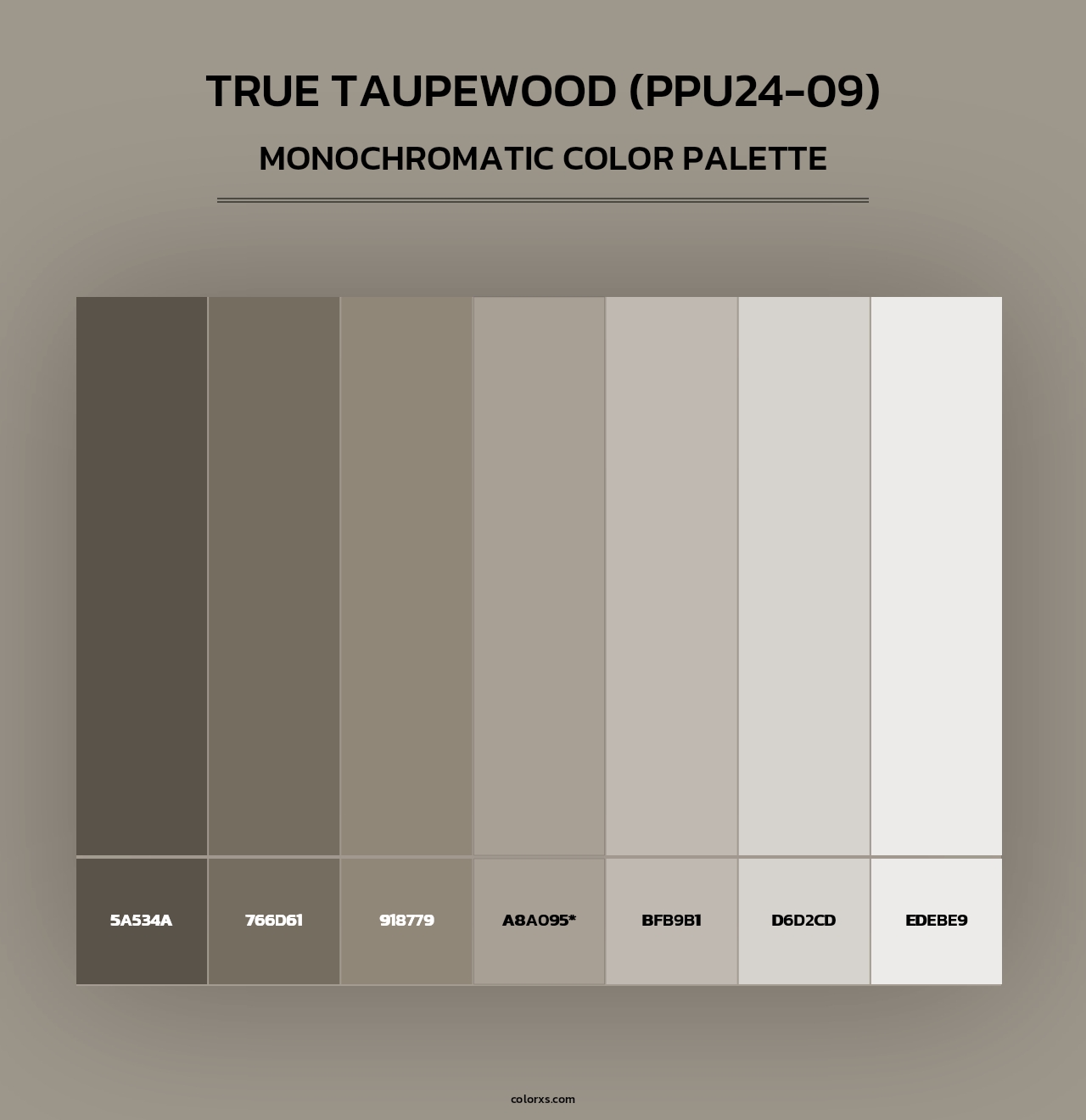 True Taupewood (PPU24-09) - Monochromatic Color Palette