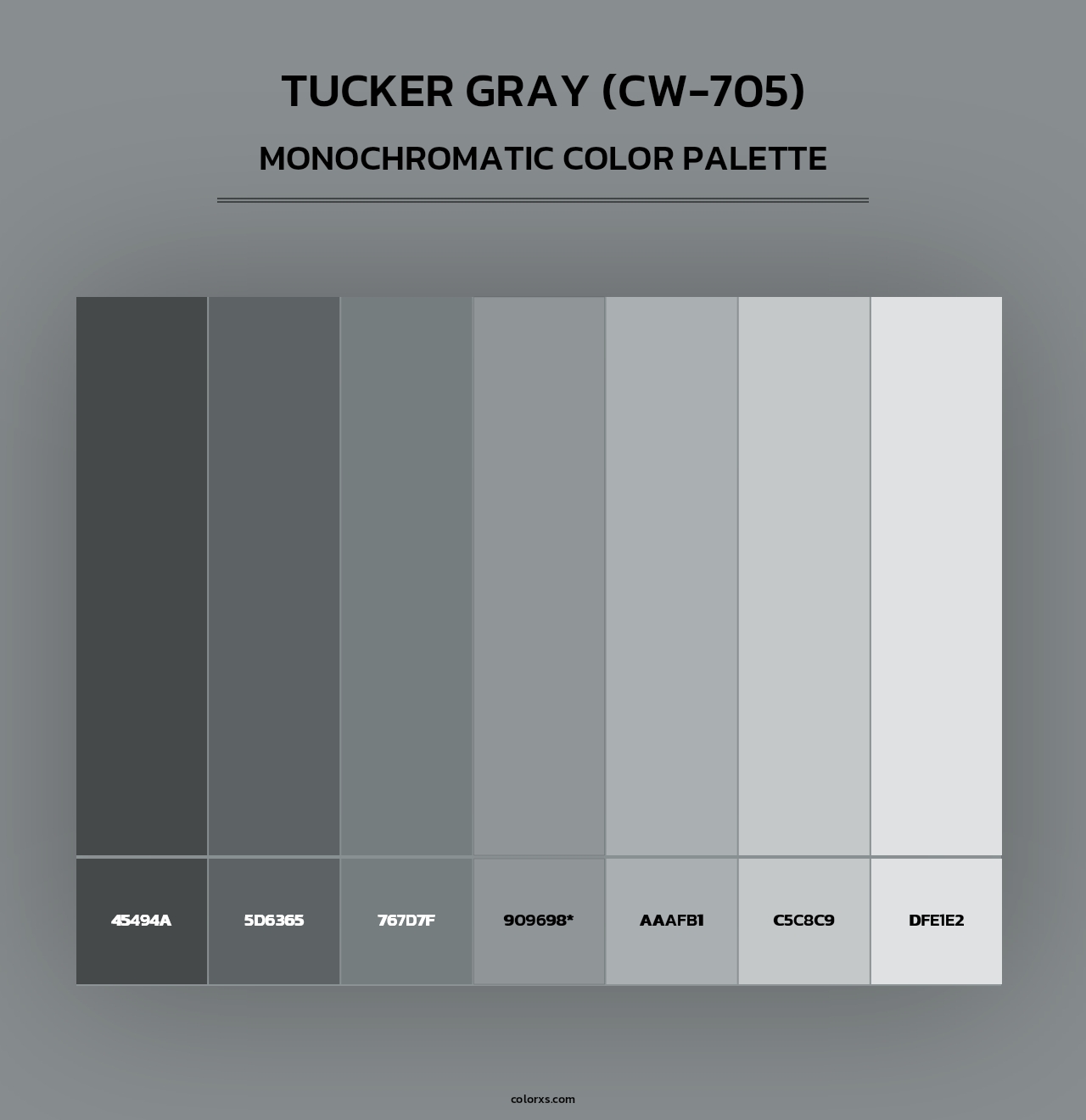 Tucker Gray (CW-705) - Monochromatic Color Palette