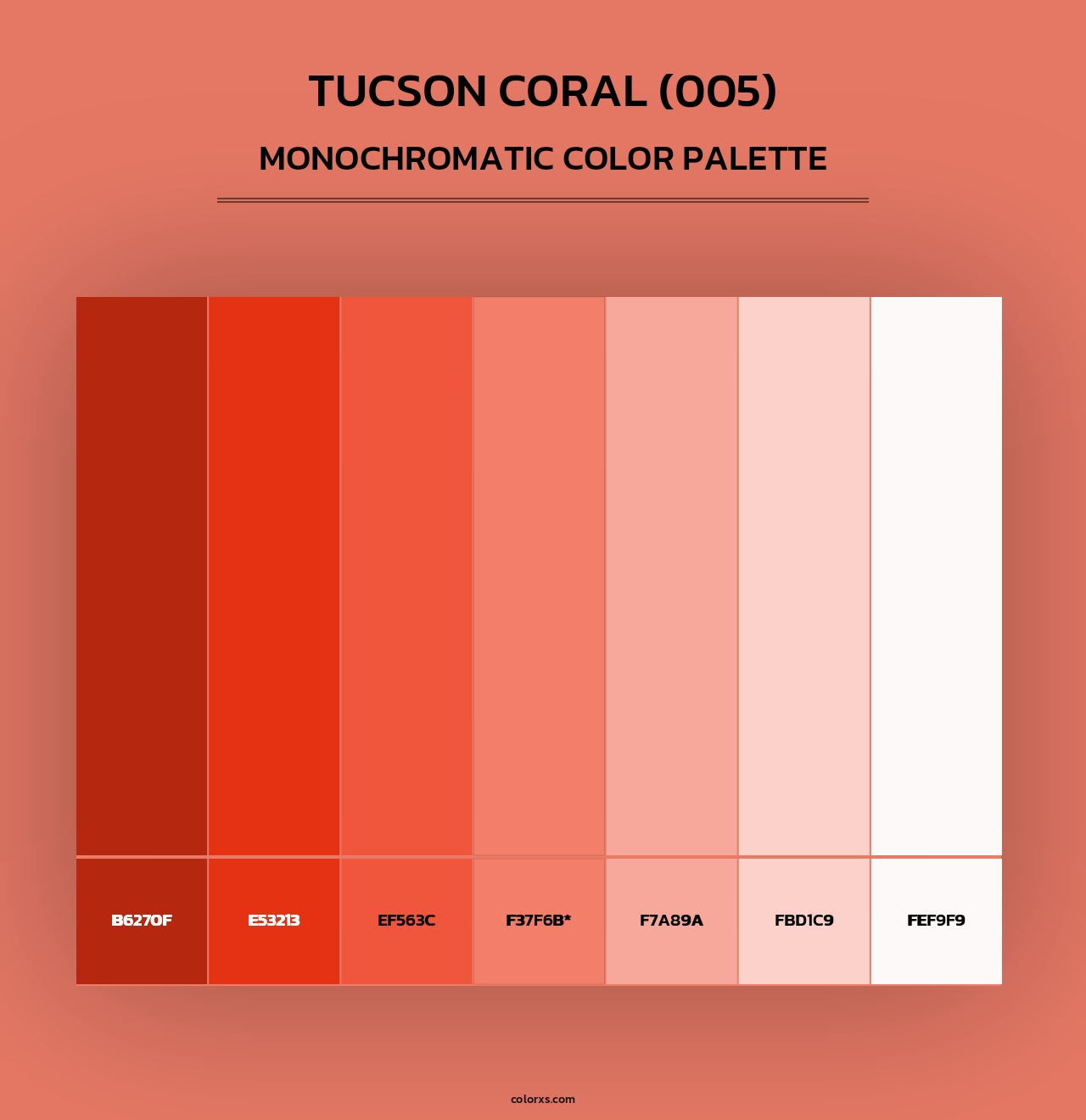 Tucson Coral (005) - Monochromatic Color Palette